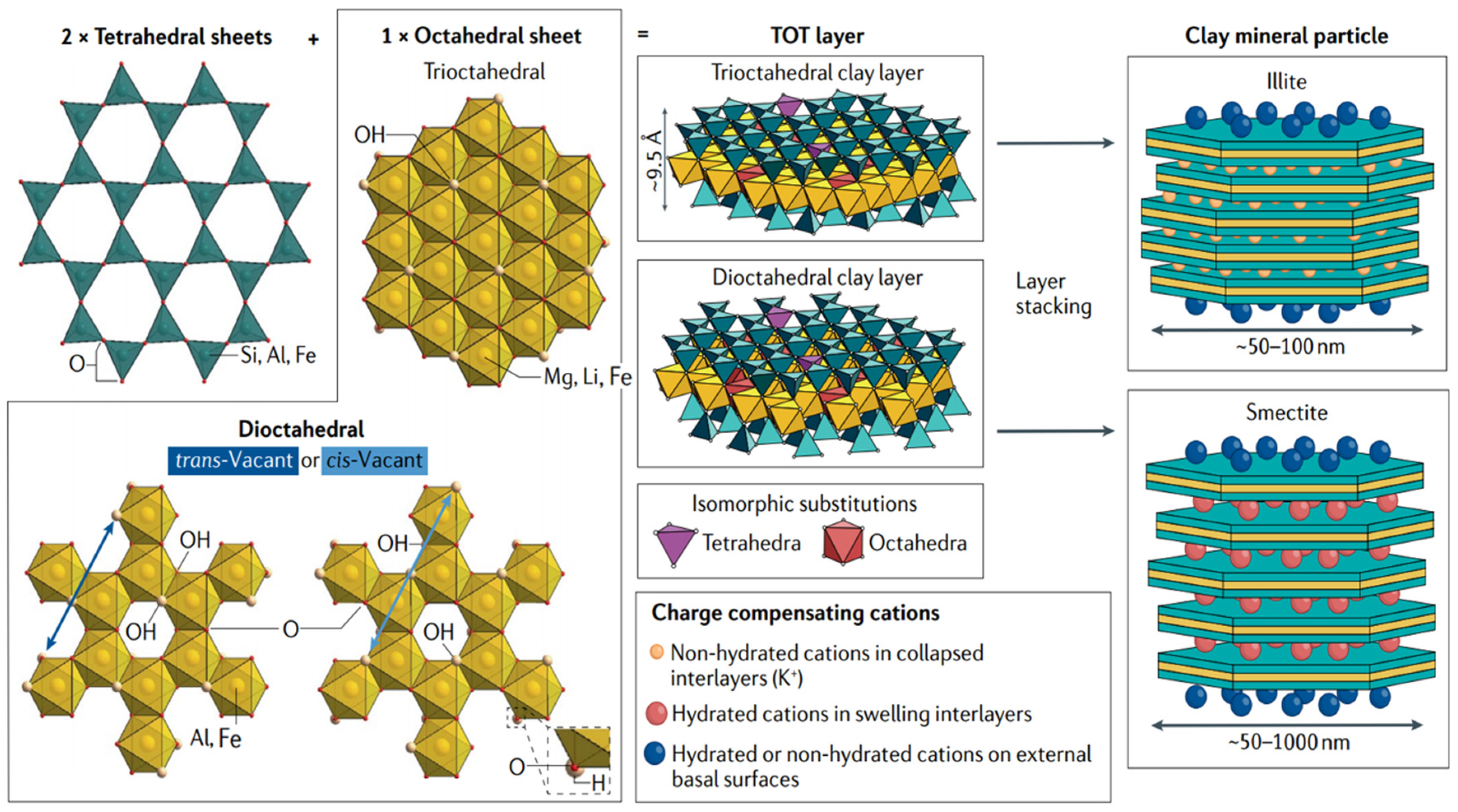 Crystals 14 01046 g001