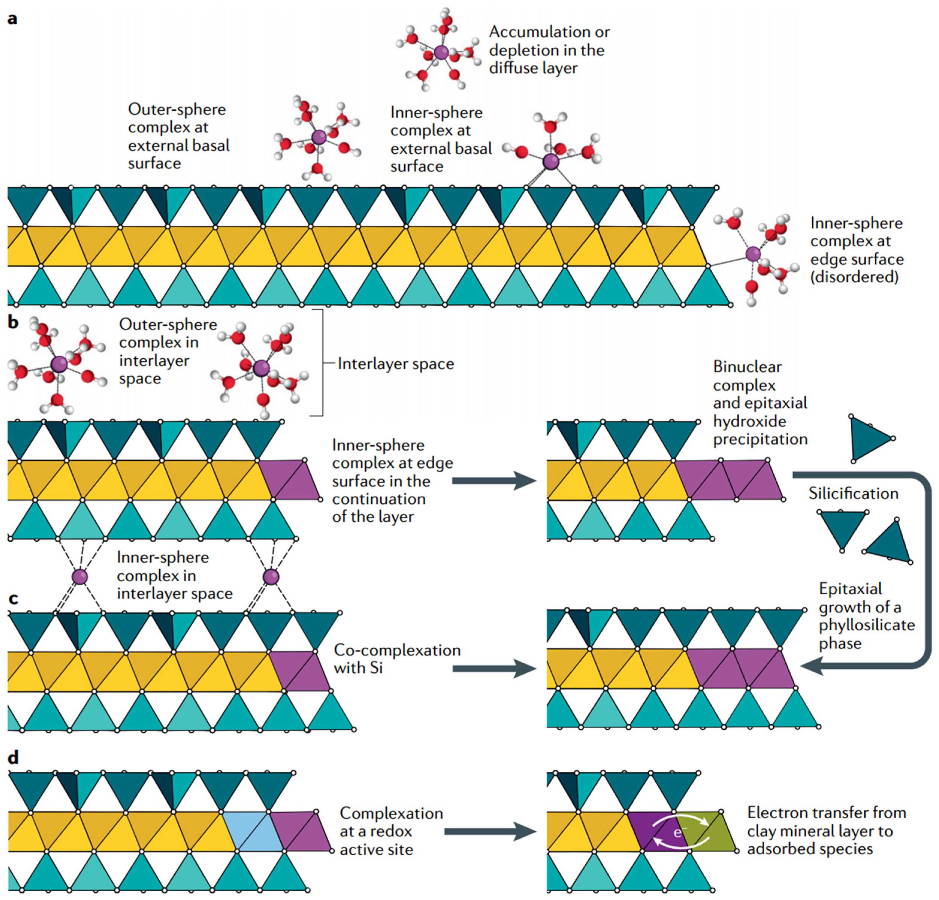 Crystals 14 01046 g004