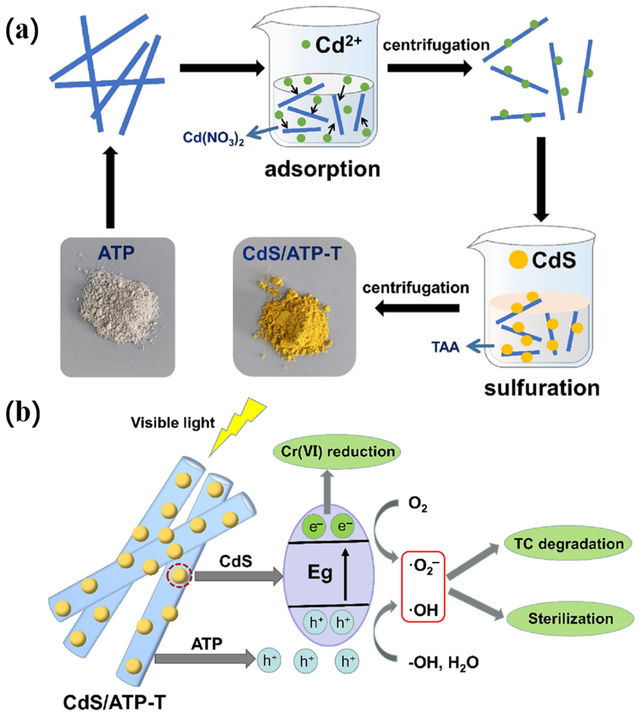 Crystals 14 01046 g006