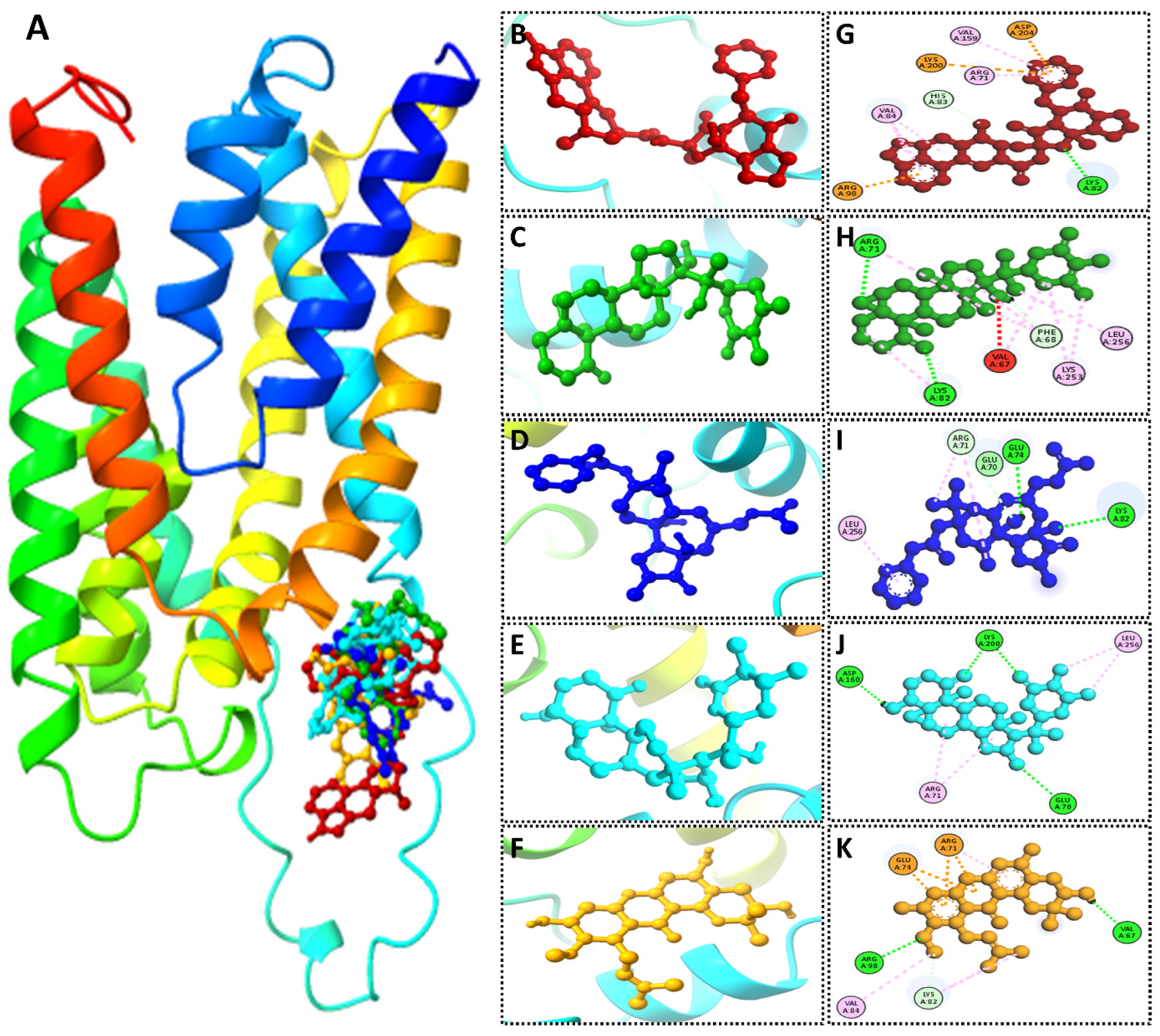 Crystals 14 01057 g004