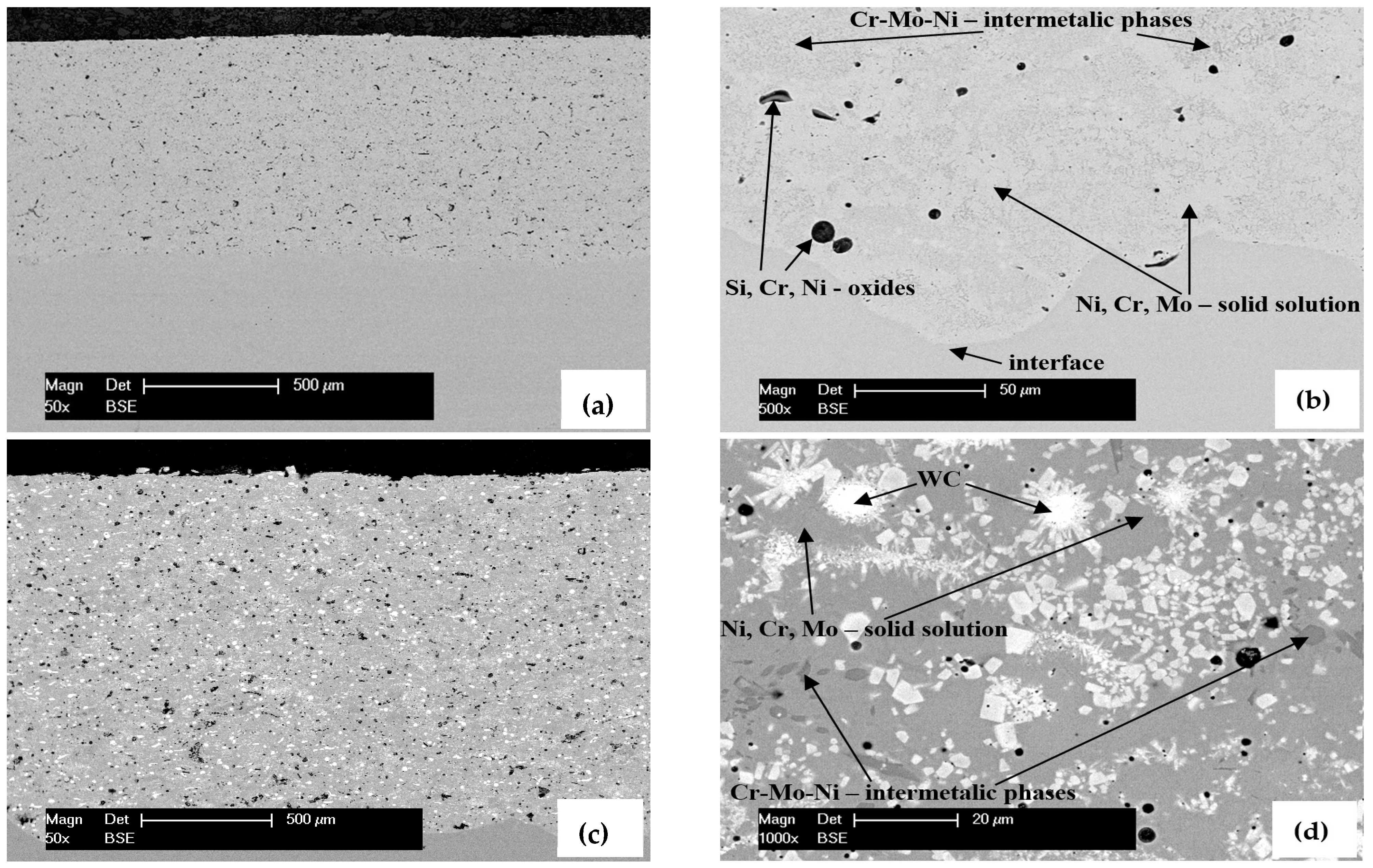Crystals 14 01078 g001 Crystals 14 01078 g001