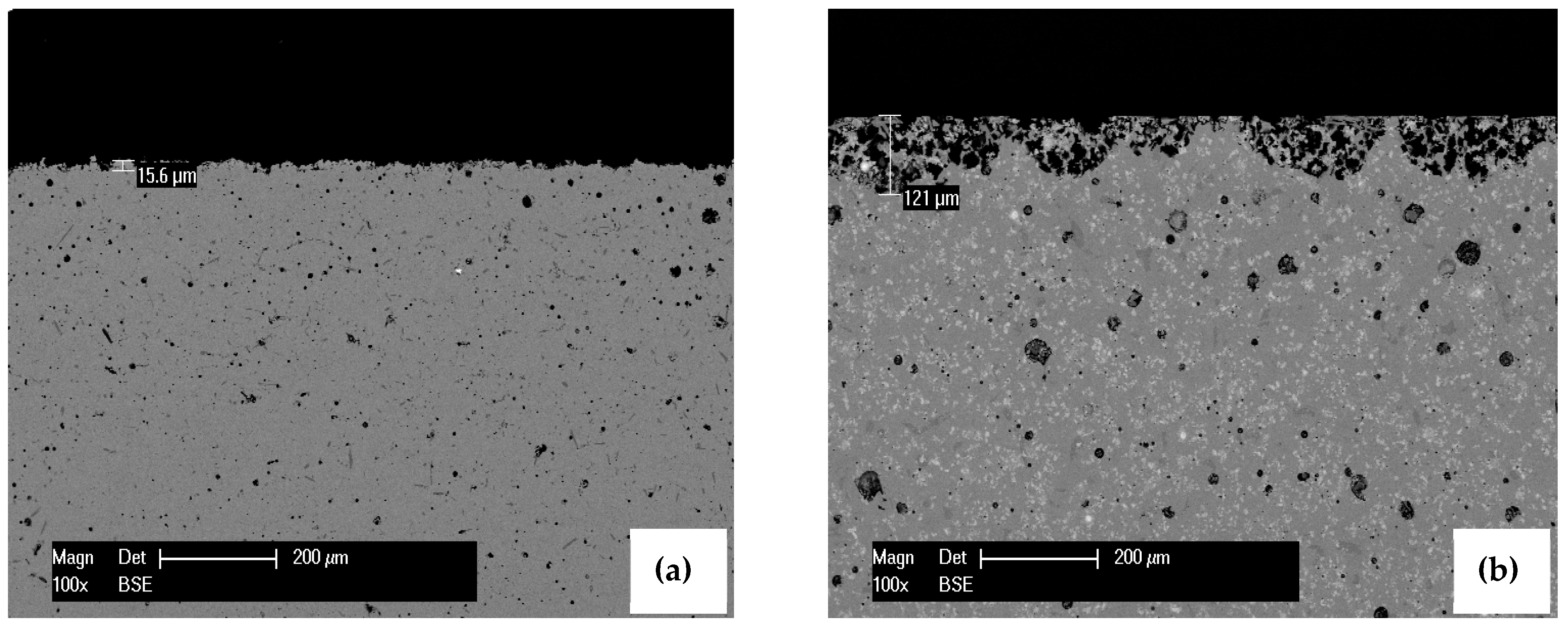 Crystals 14 01078 g005 Crystals 14 01078 g005