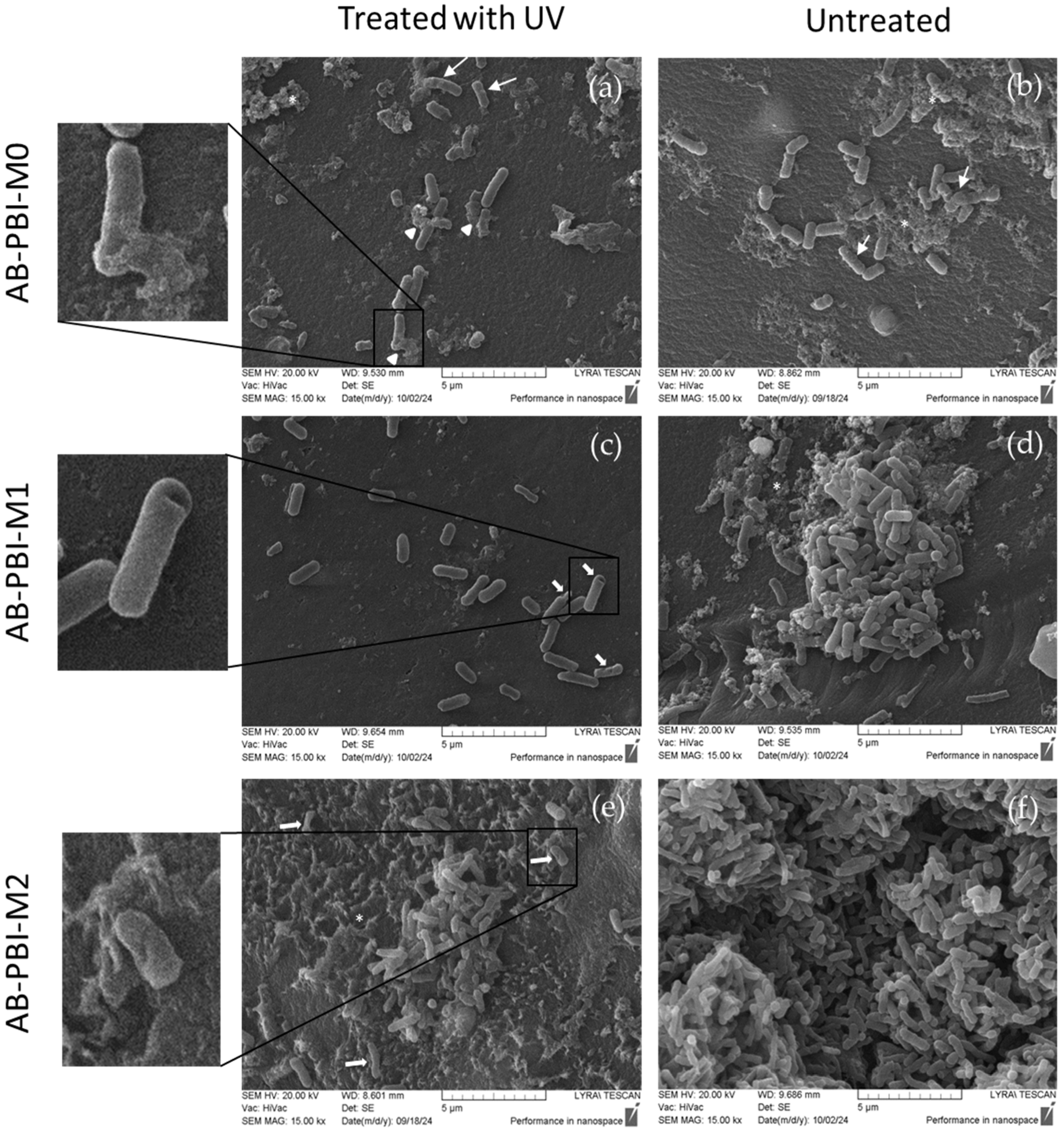 Crystals 14 01081 g022