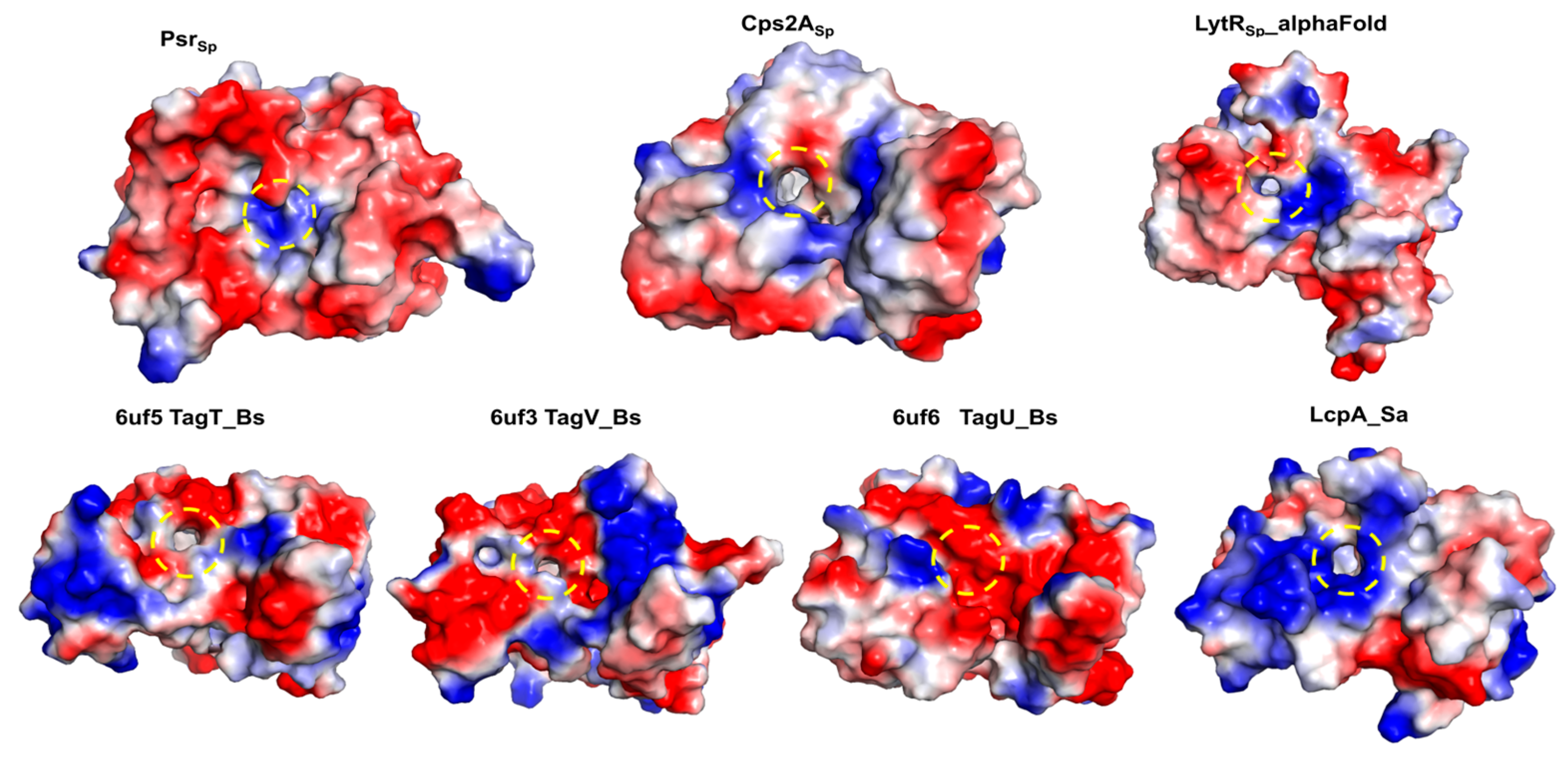 Crystals 14 01094 g003