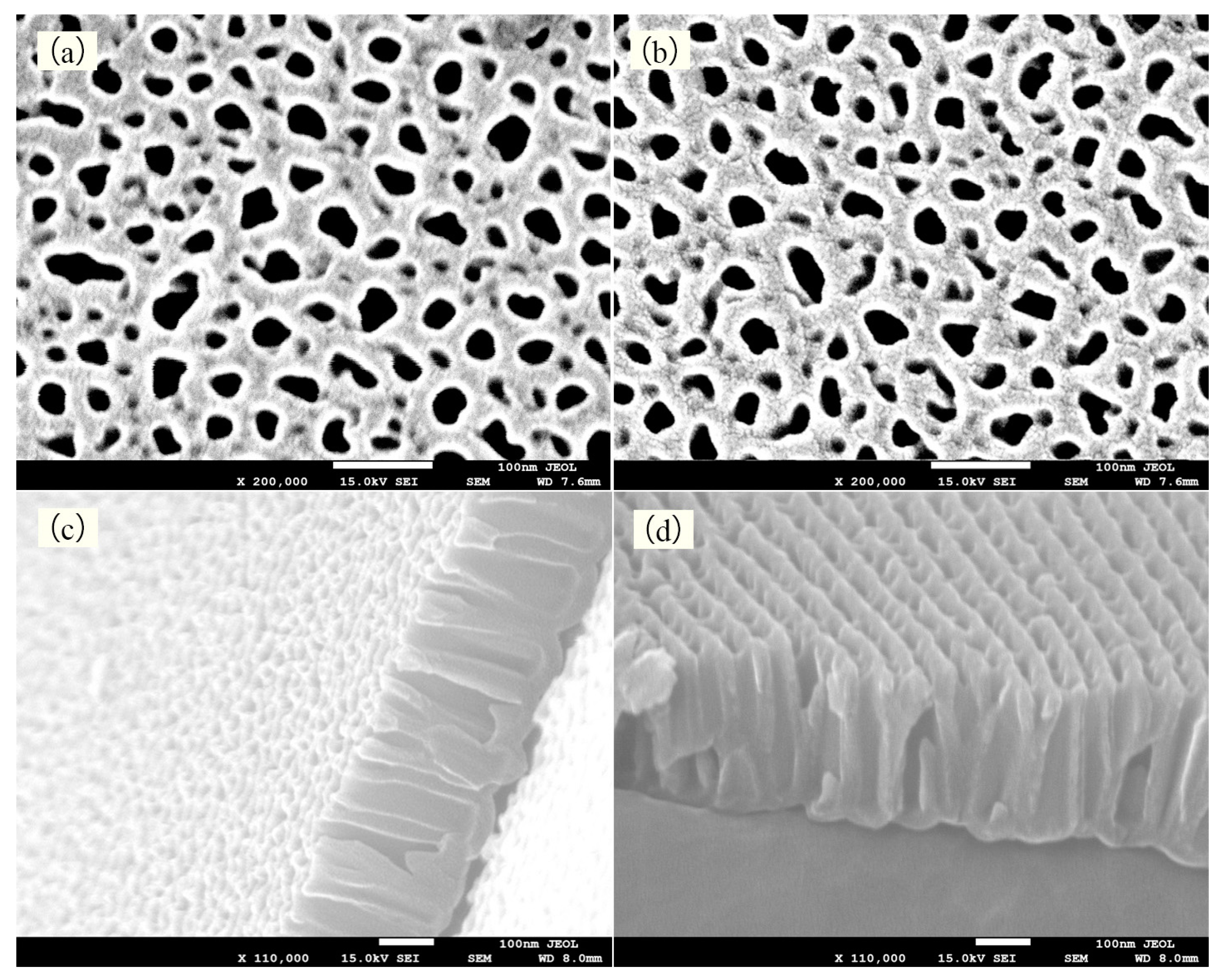 Crystals 14 01102 g005