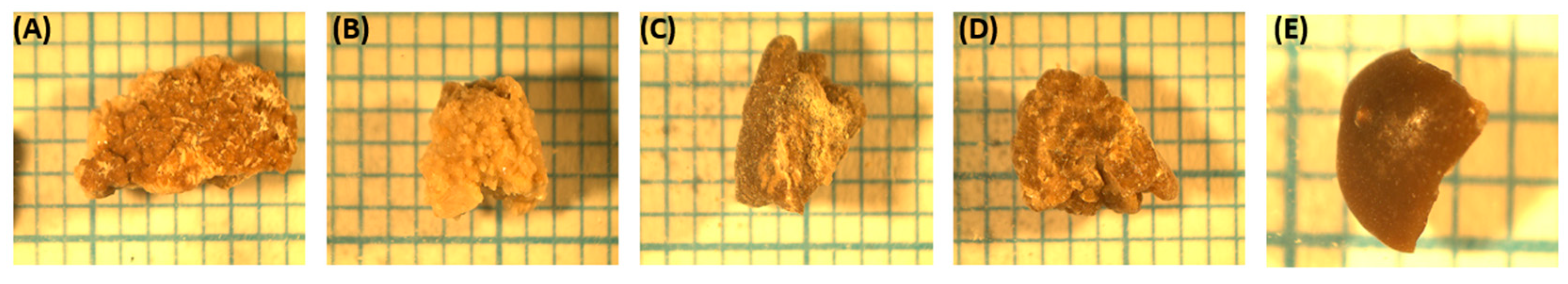 Crystals 15 00006 g004