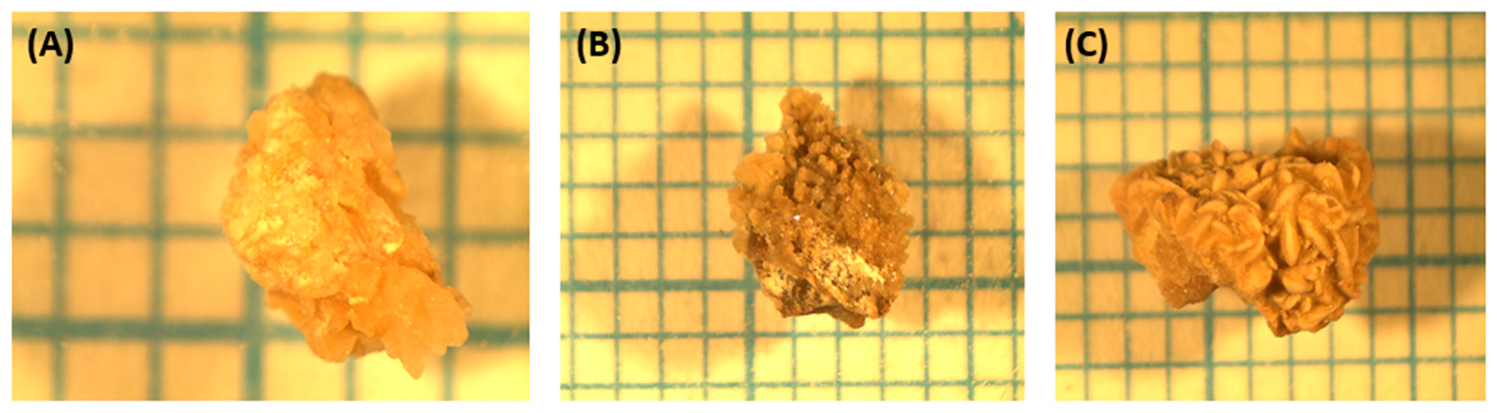 Crystals 15 00006 g012