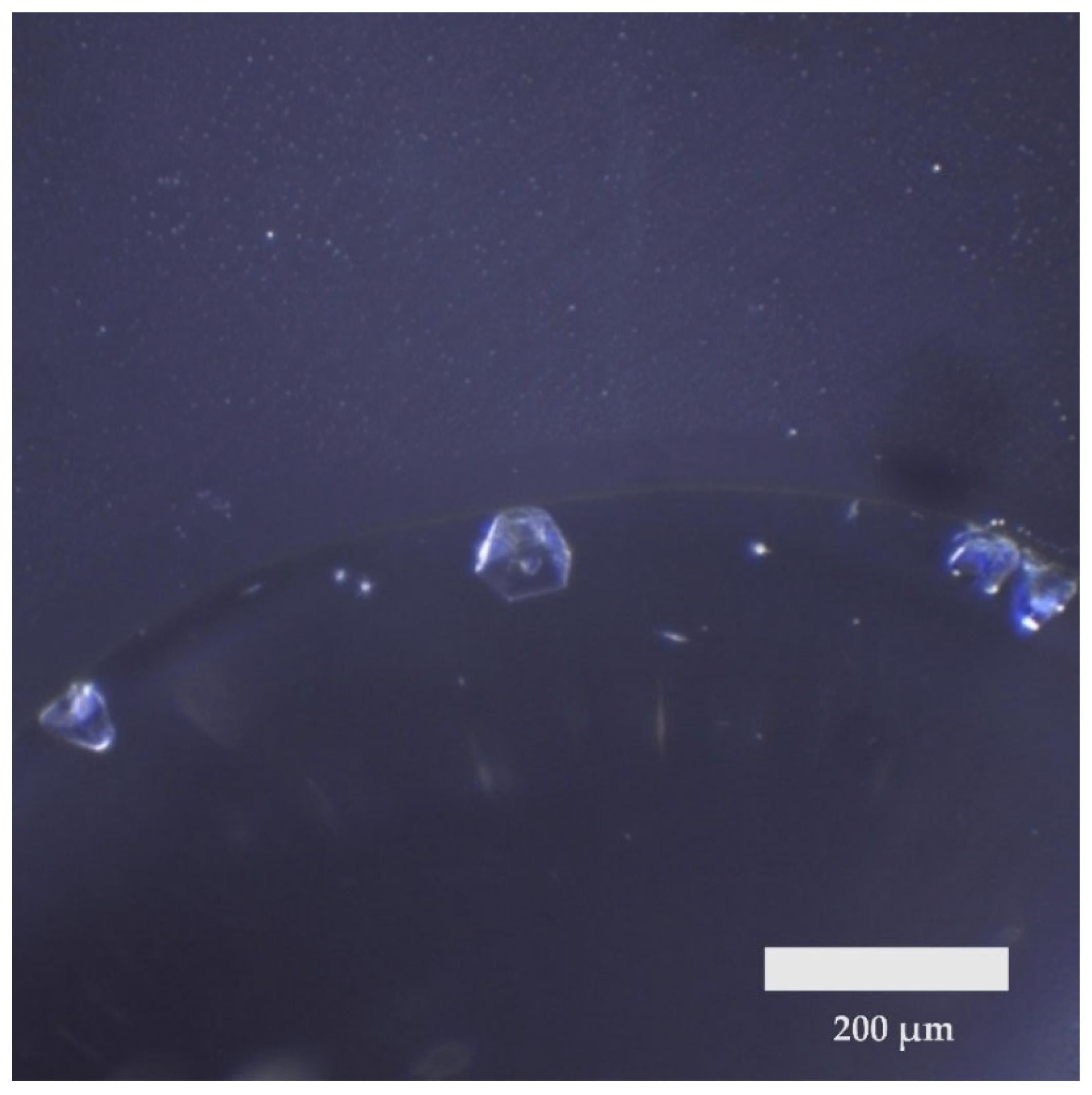 Crystals 15 00020 g001