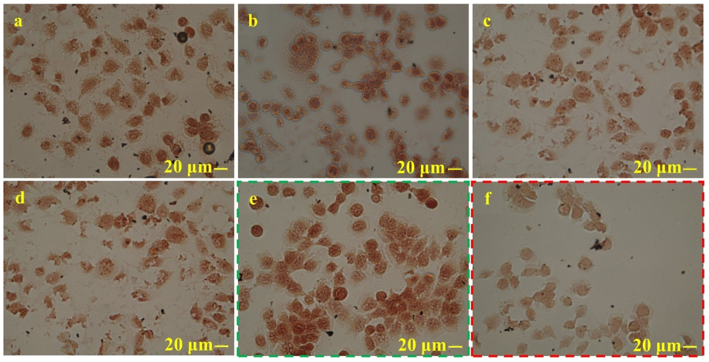 Crystals 15 00055 g011