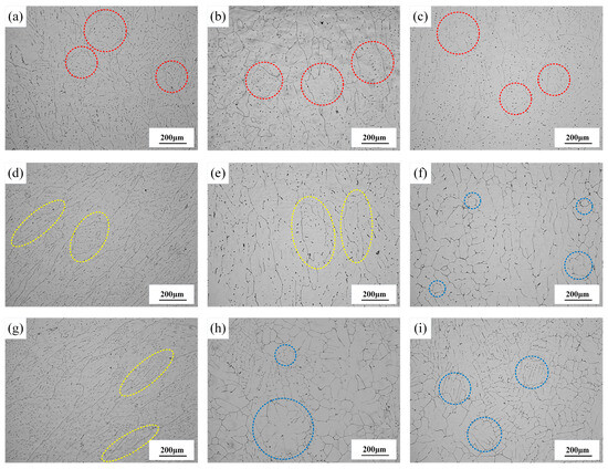Macro-/Microstructural Features and Temperature Distribution