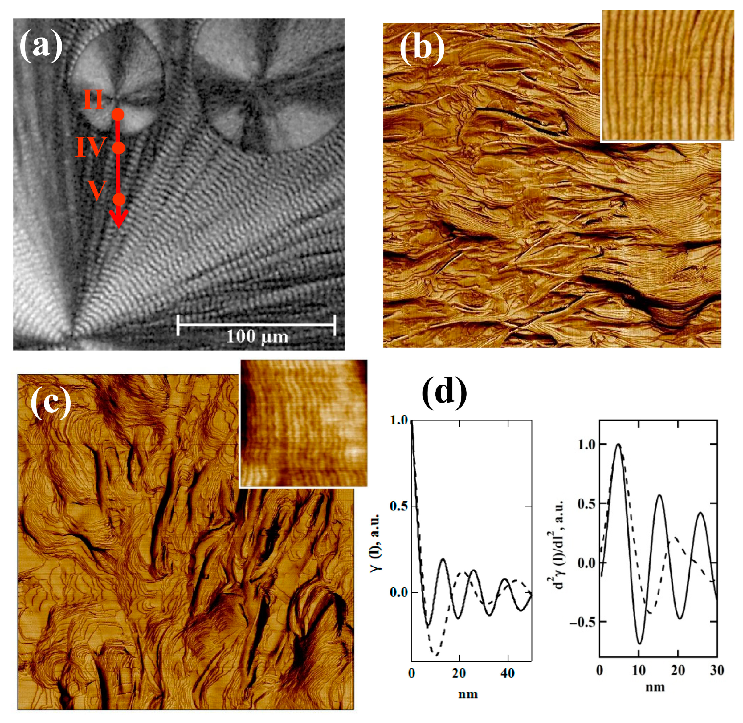 Crystals 15 00094 g005