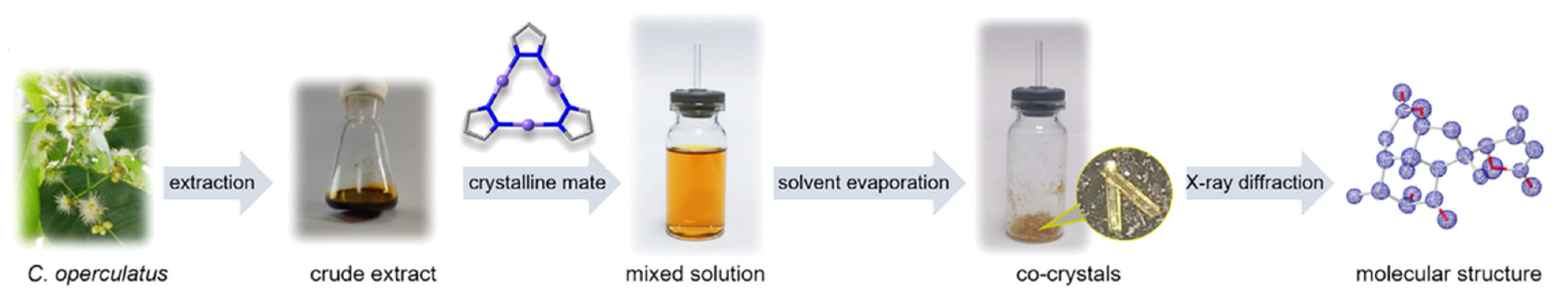 Crystals 15 00115 g035