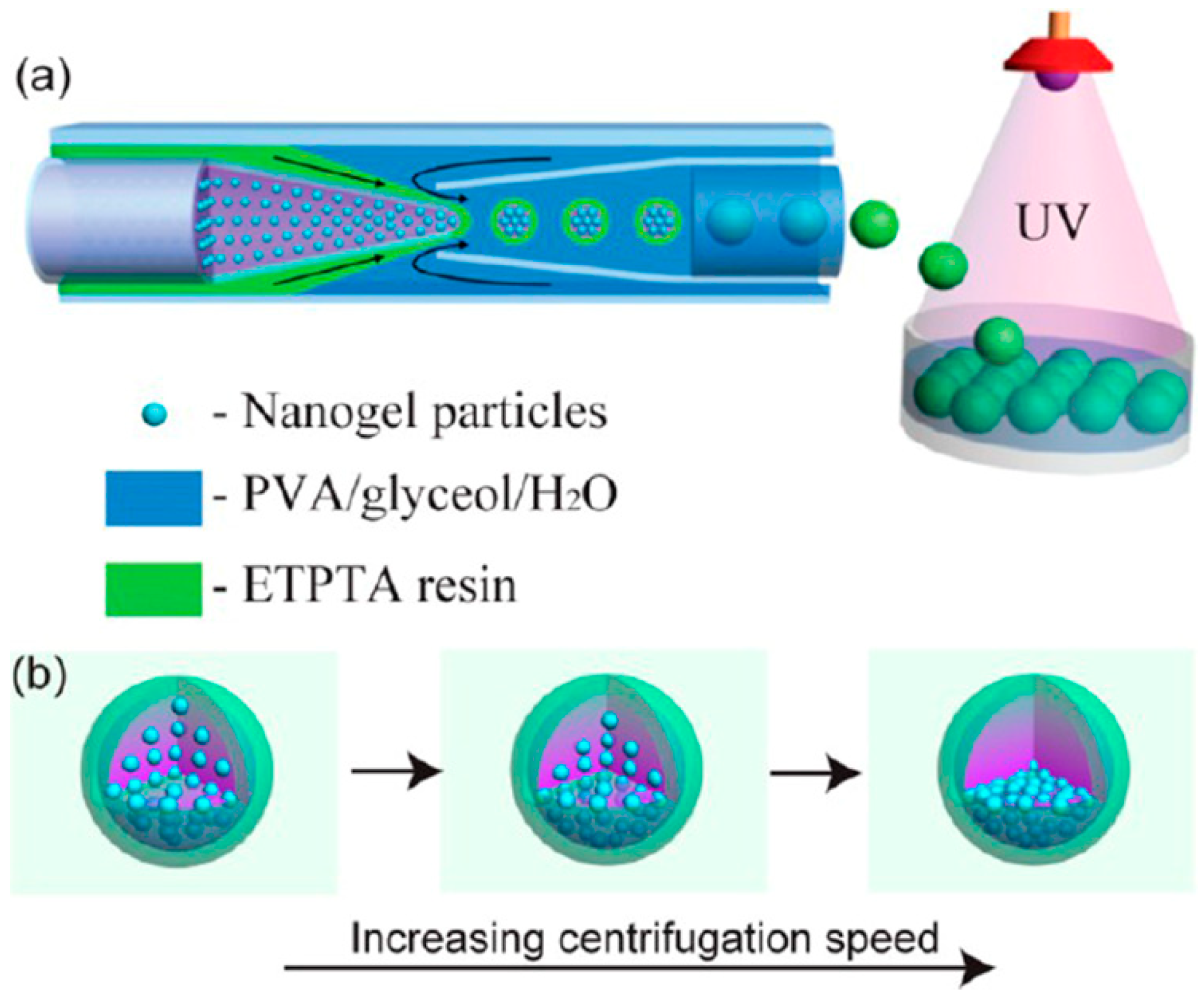 Crystals 15 00124 g006
