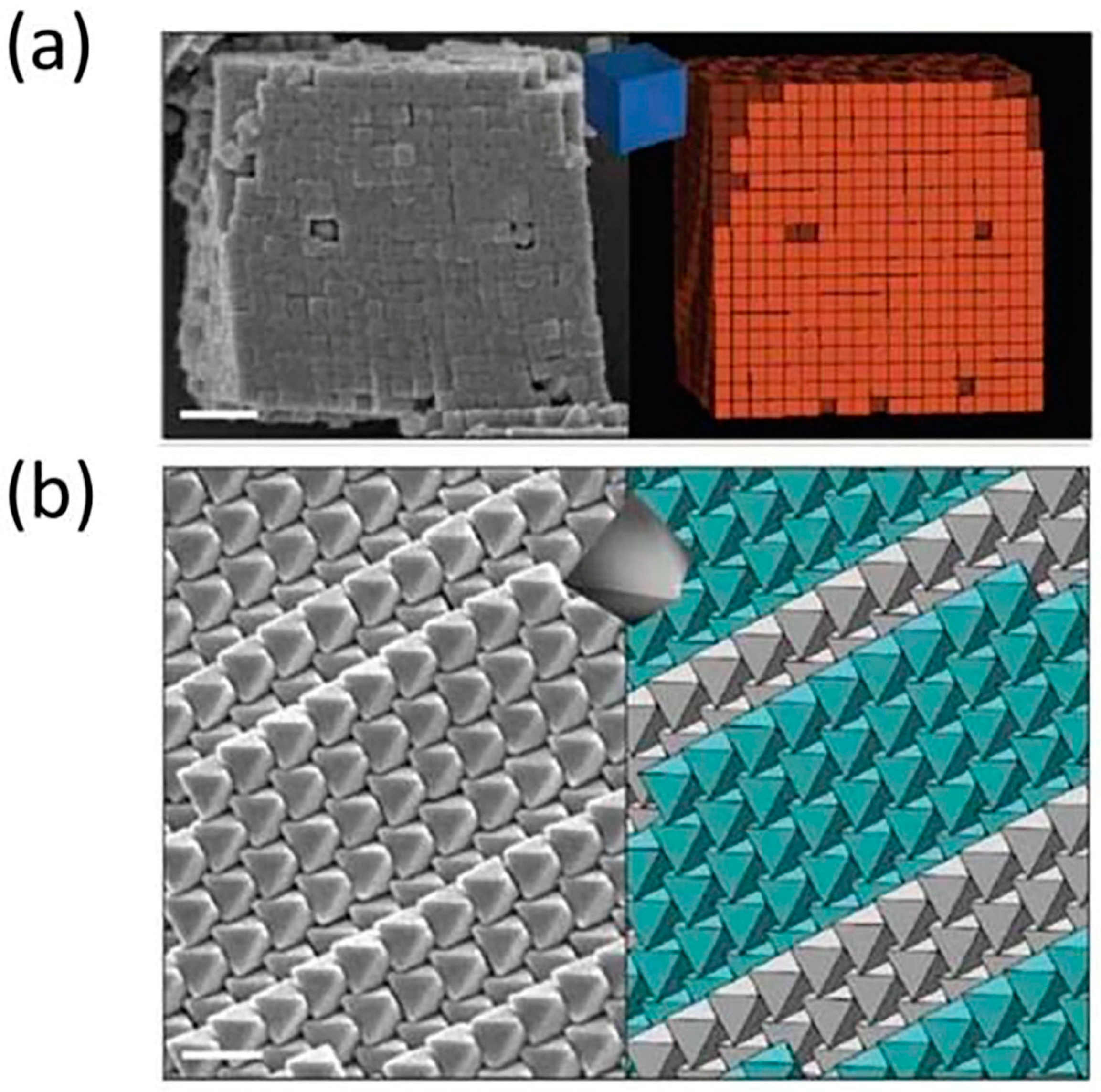 Crystals 15 00124 g010