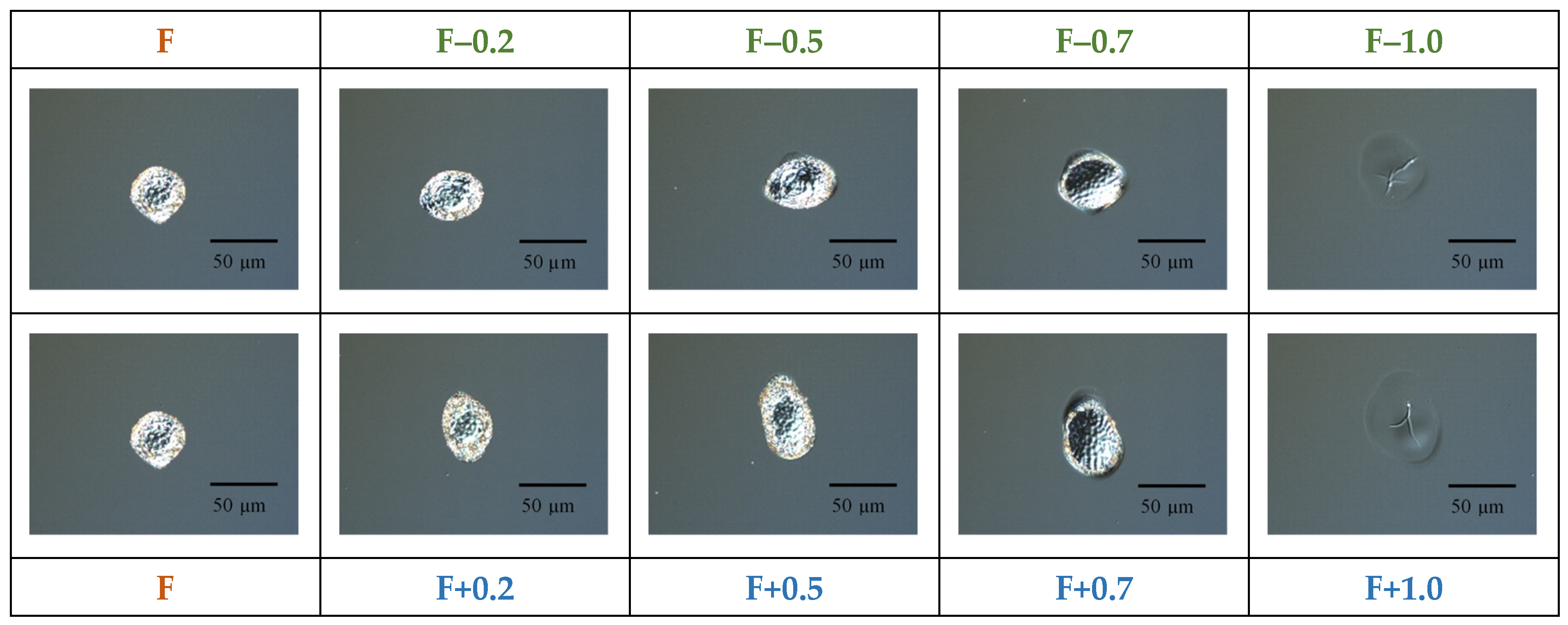 Crystals 15 00132 g001