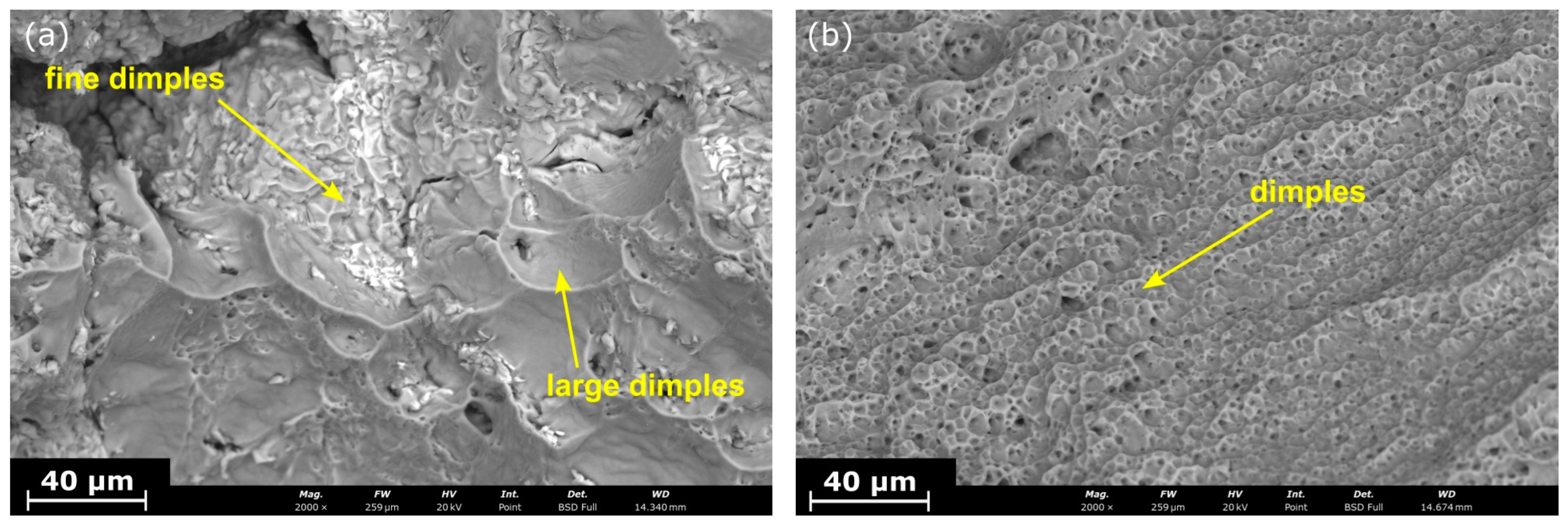 Crystals 15 00134 g009
