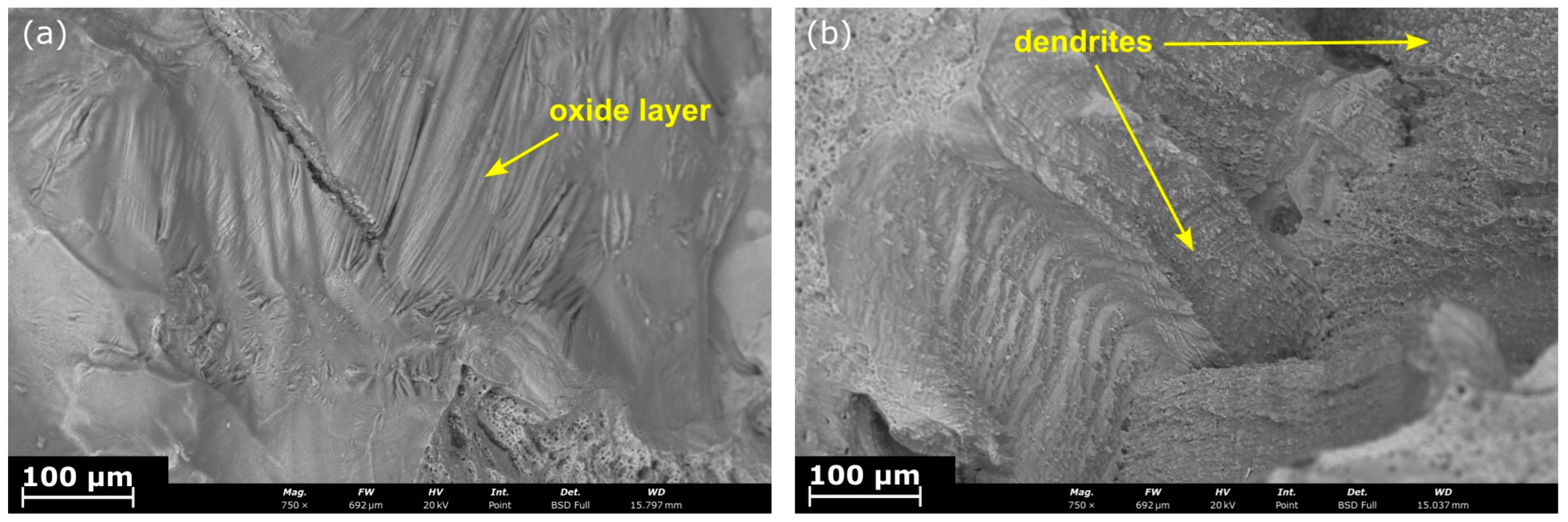 Crystals 15 00134 g010