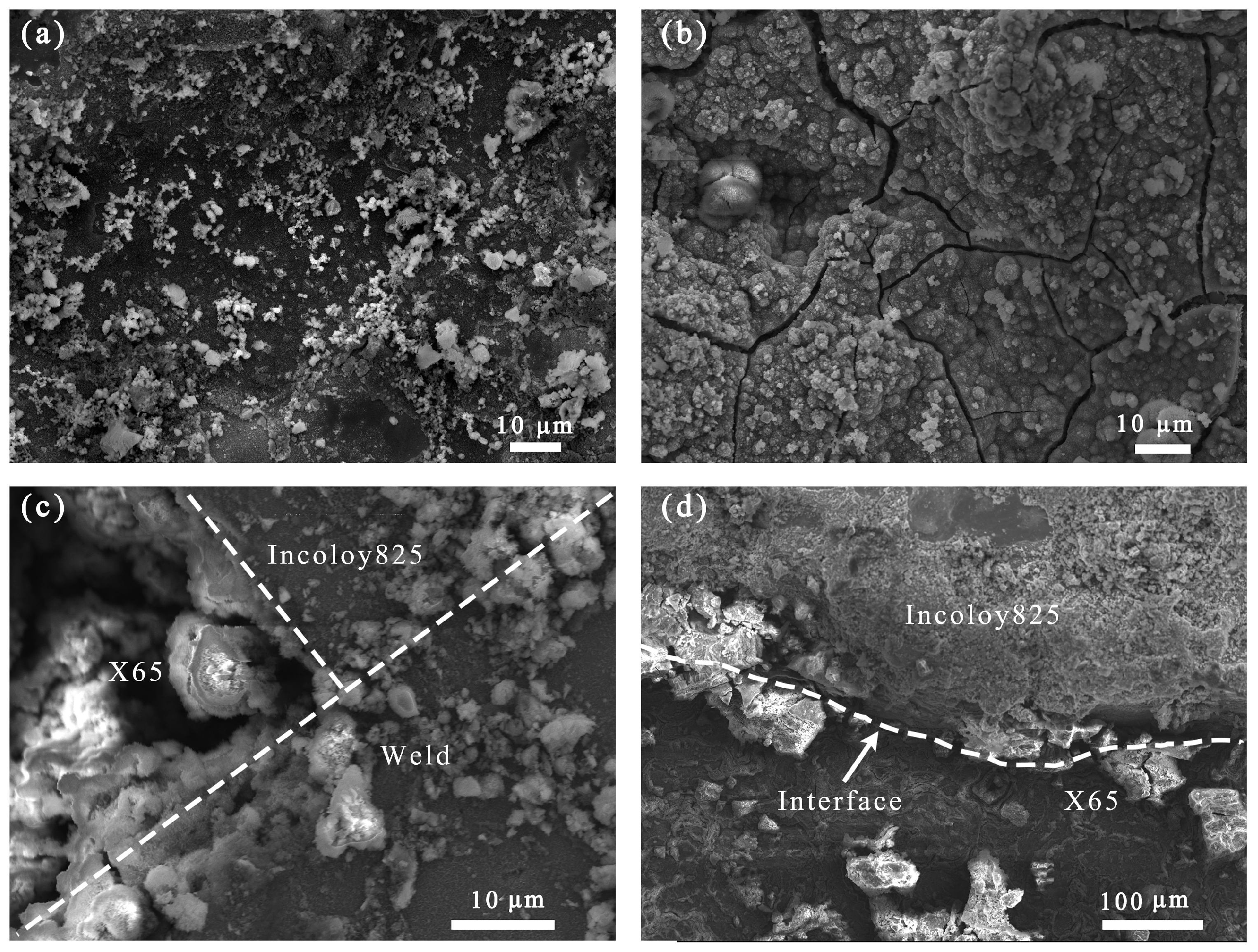 Crystals 15 00165 g009