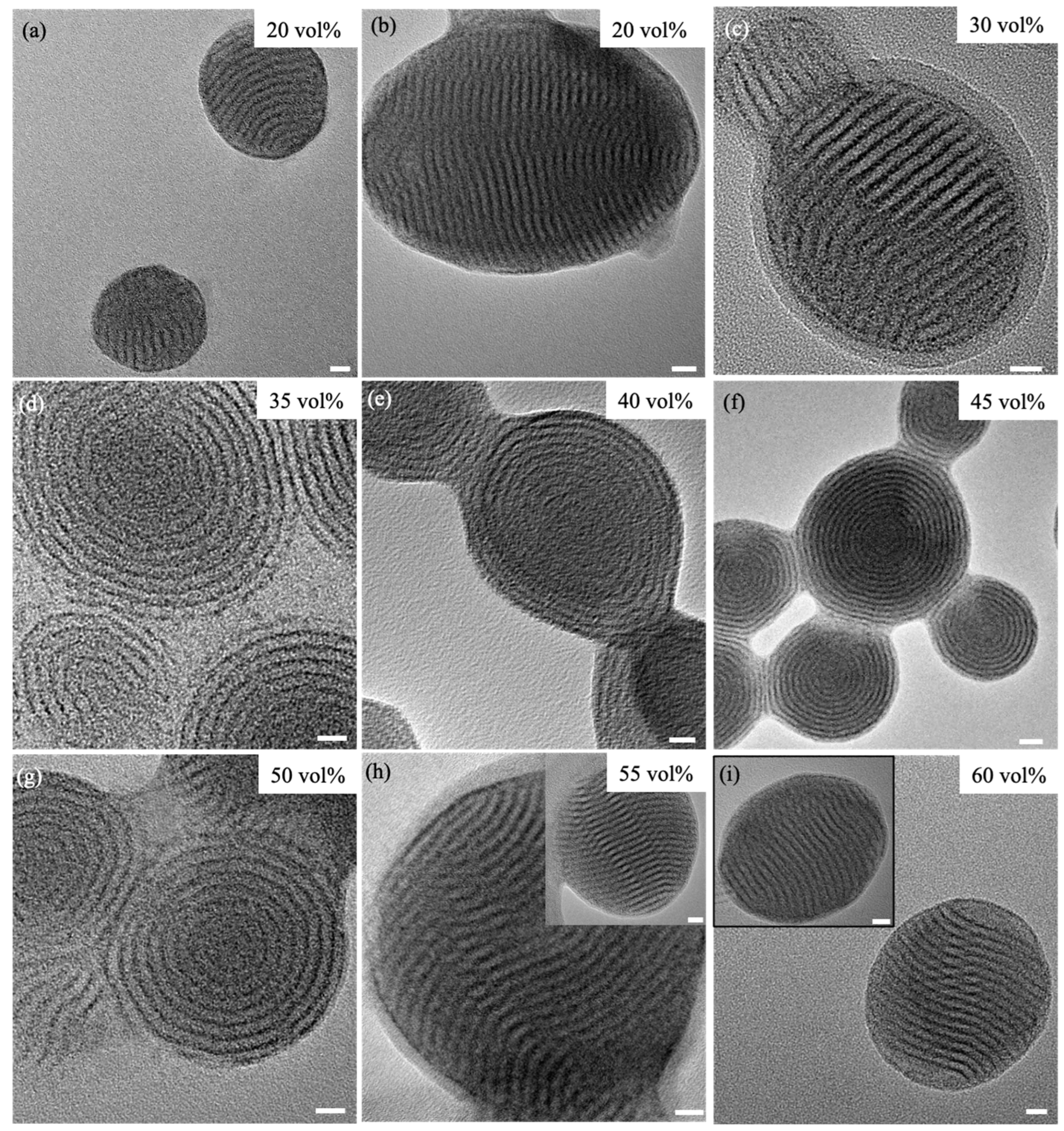 Crystals 15 00177 g002