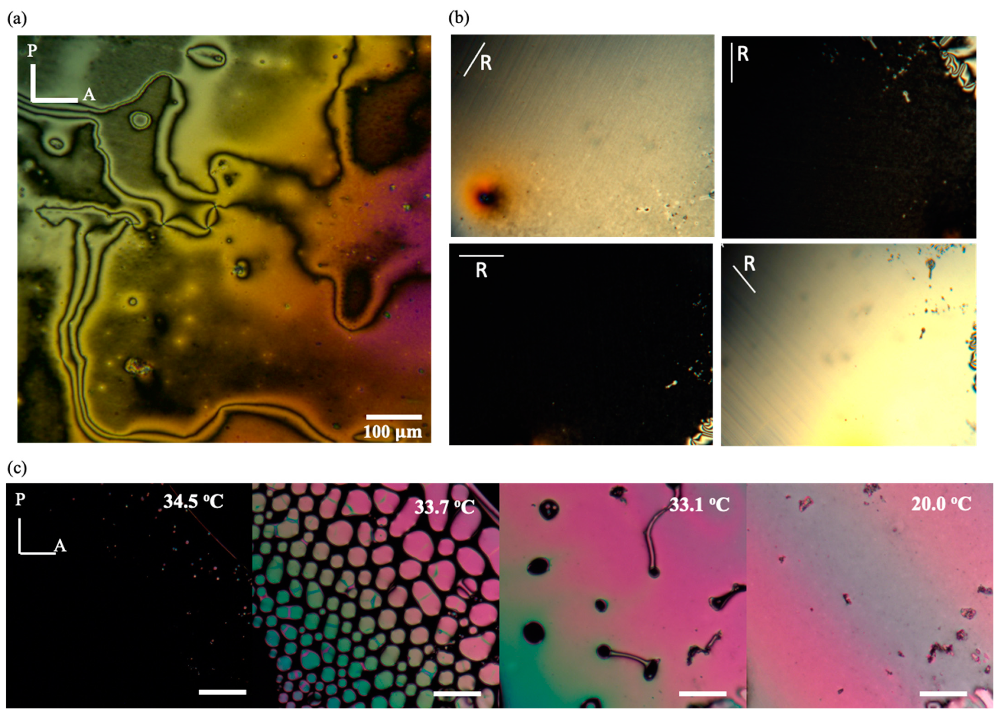 Crystals 15 00177 g006