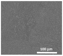 Crystals 15 00208 i003