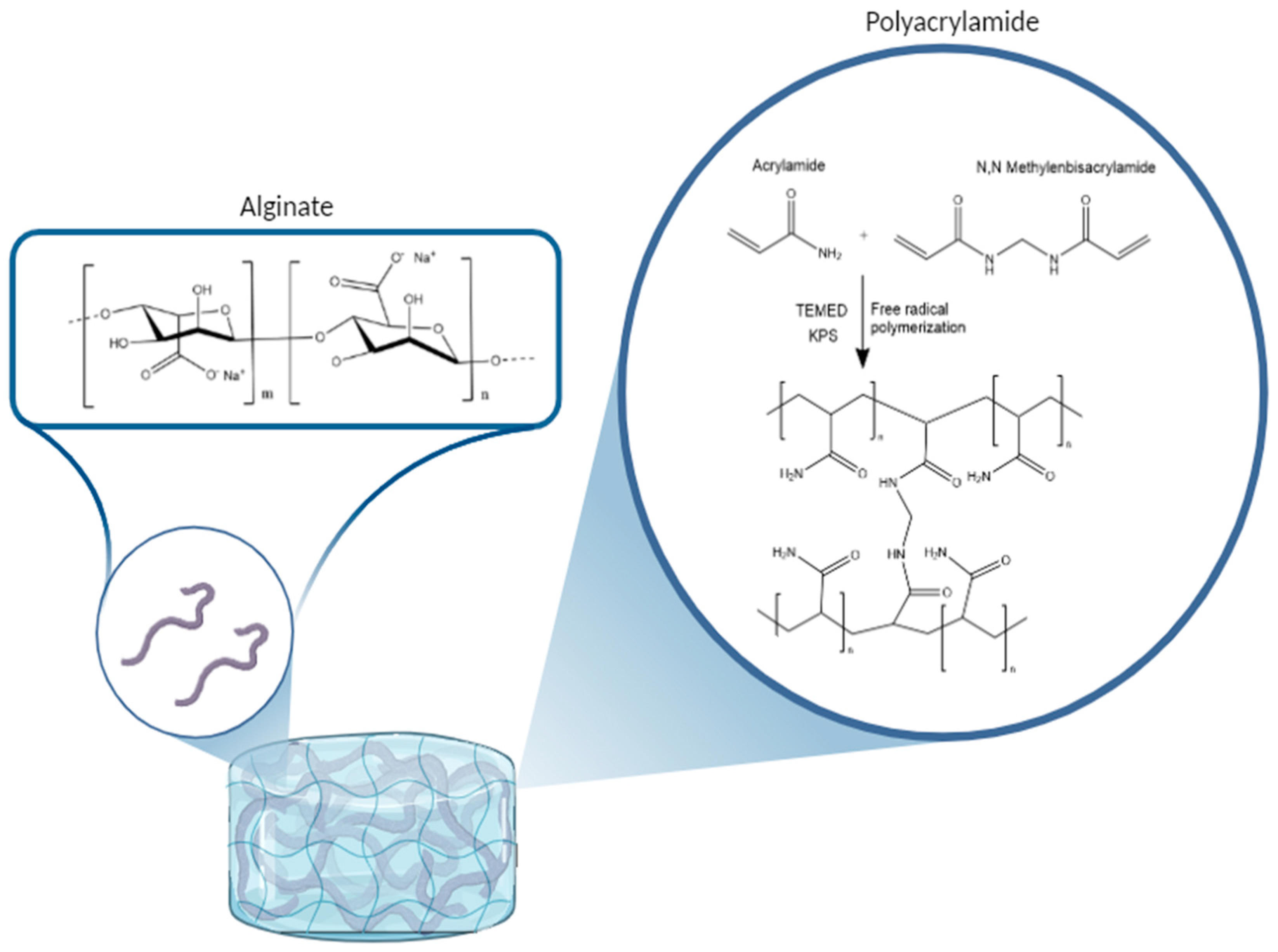 Crystals 15 00211 g002