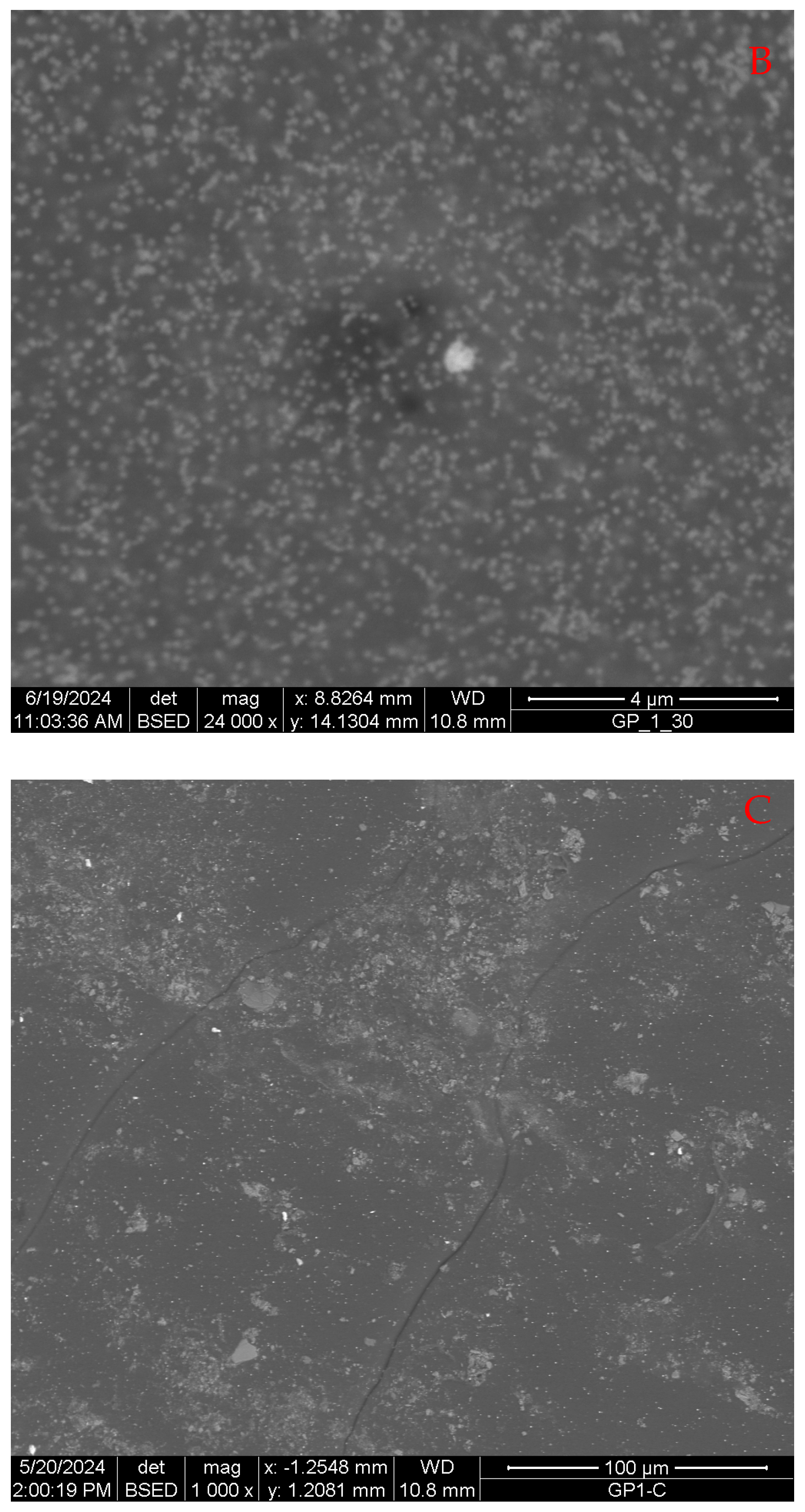 Crystals 15 00211 g005b