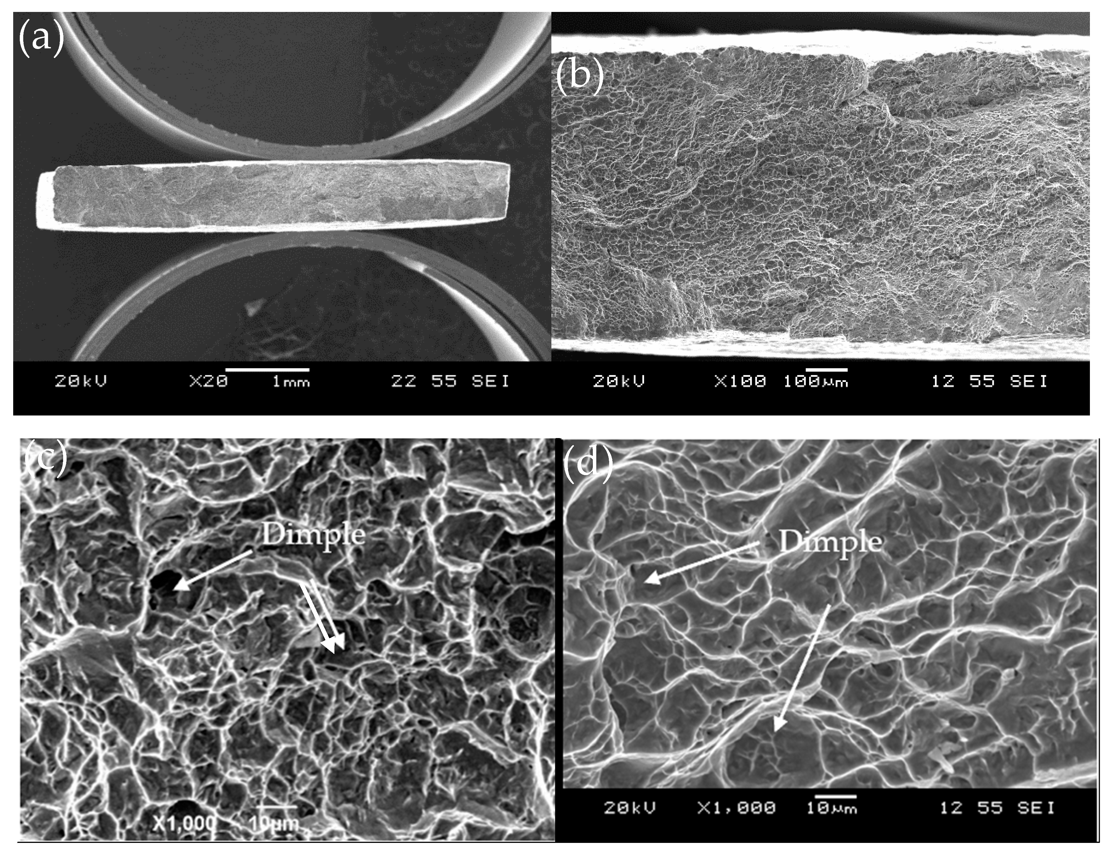 Crystals 15 00224 g012