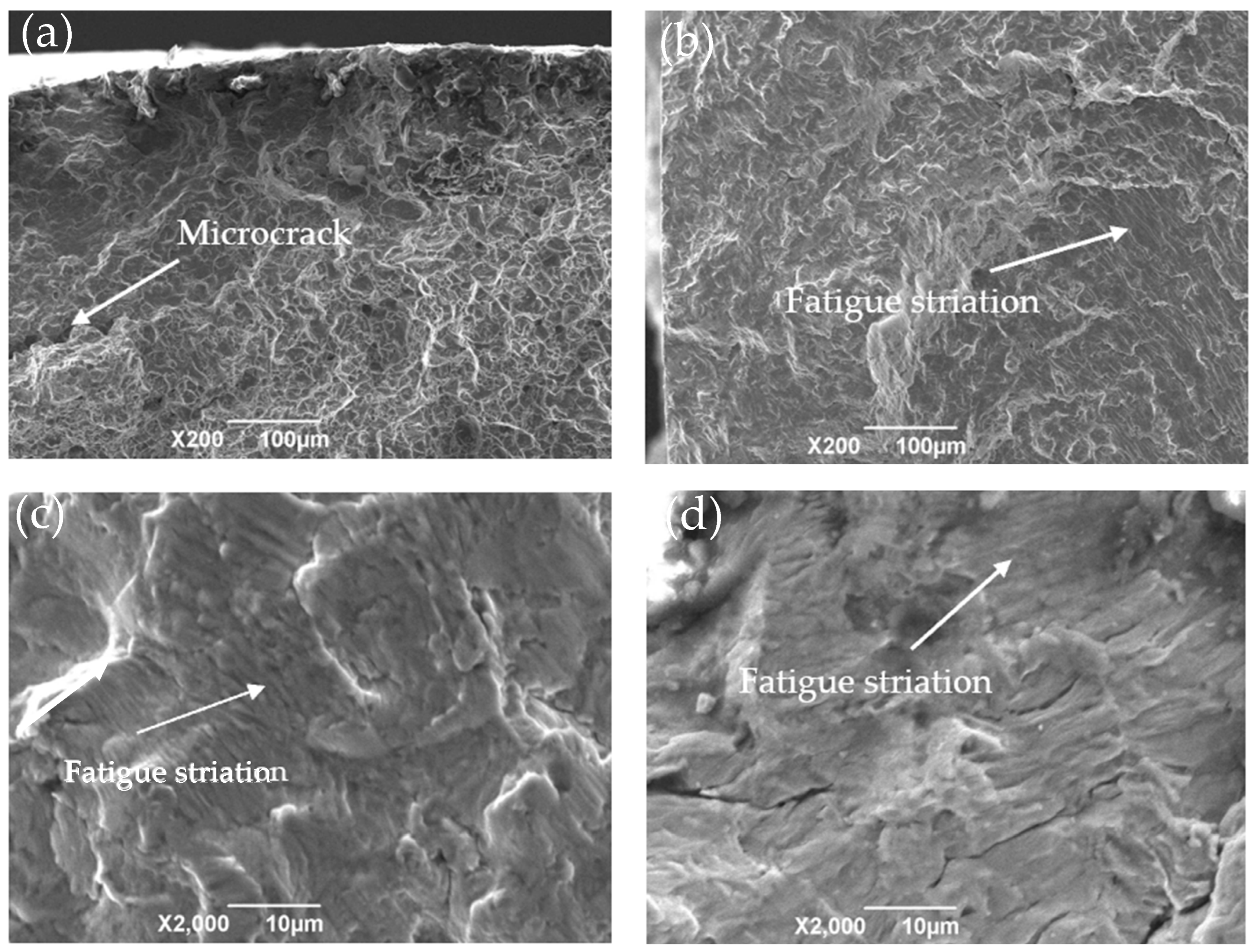 Crystals 15 00224 g014a