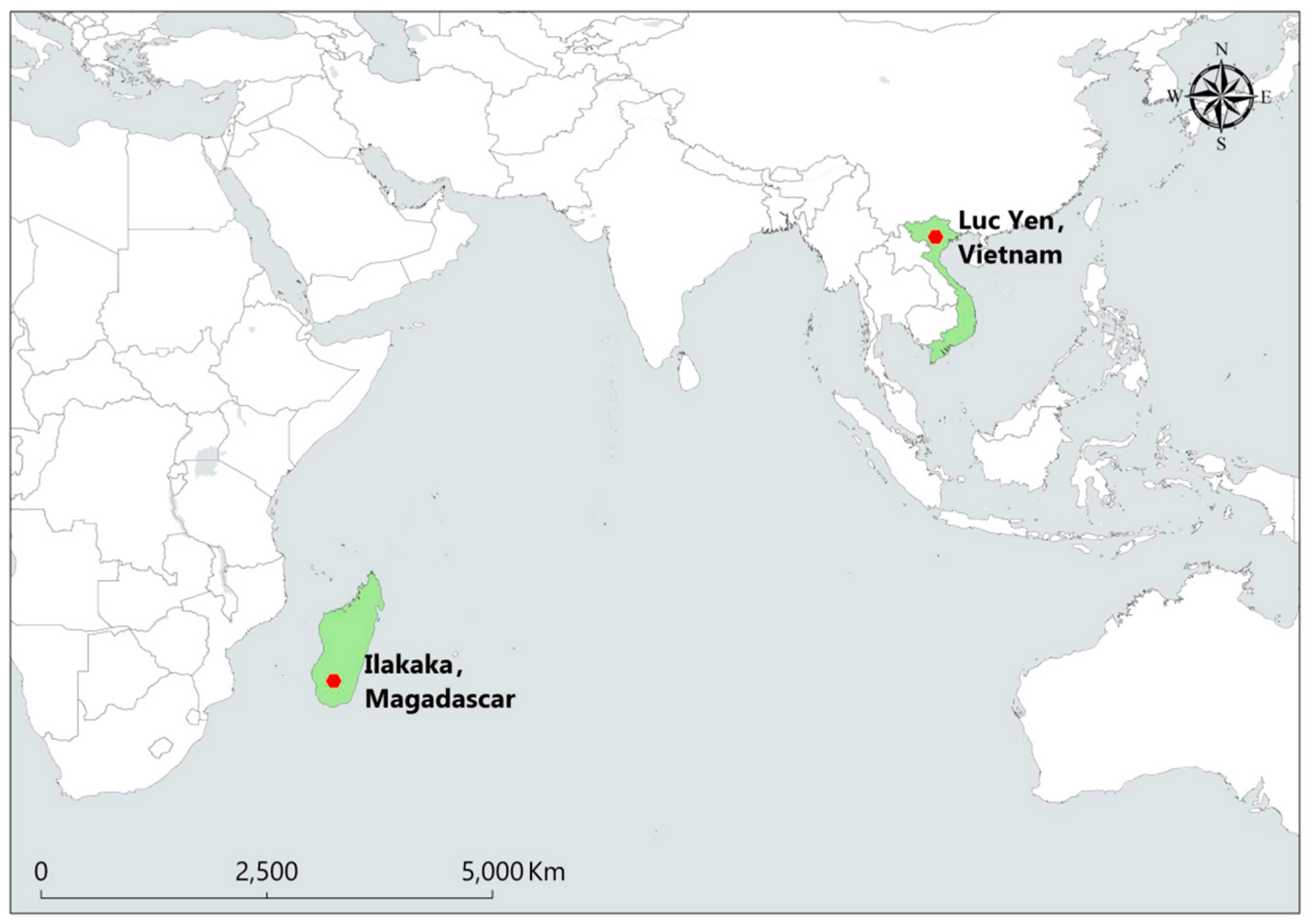 Crystals 15 00229 g001