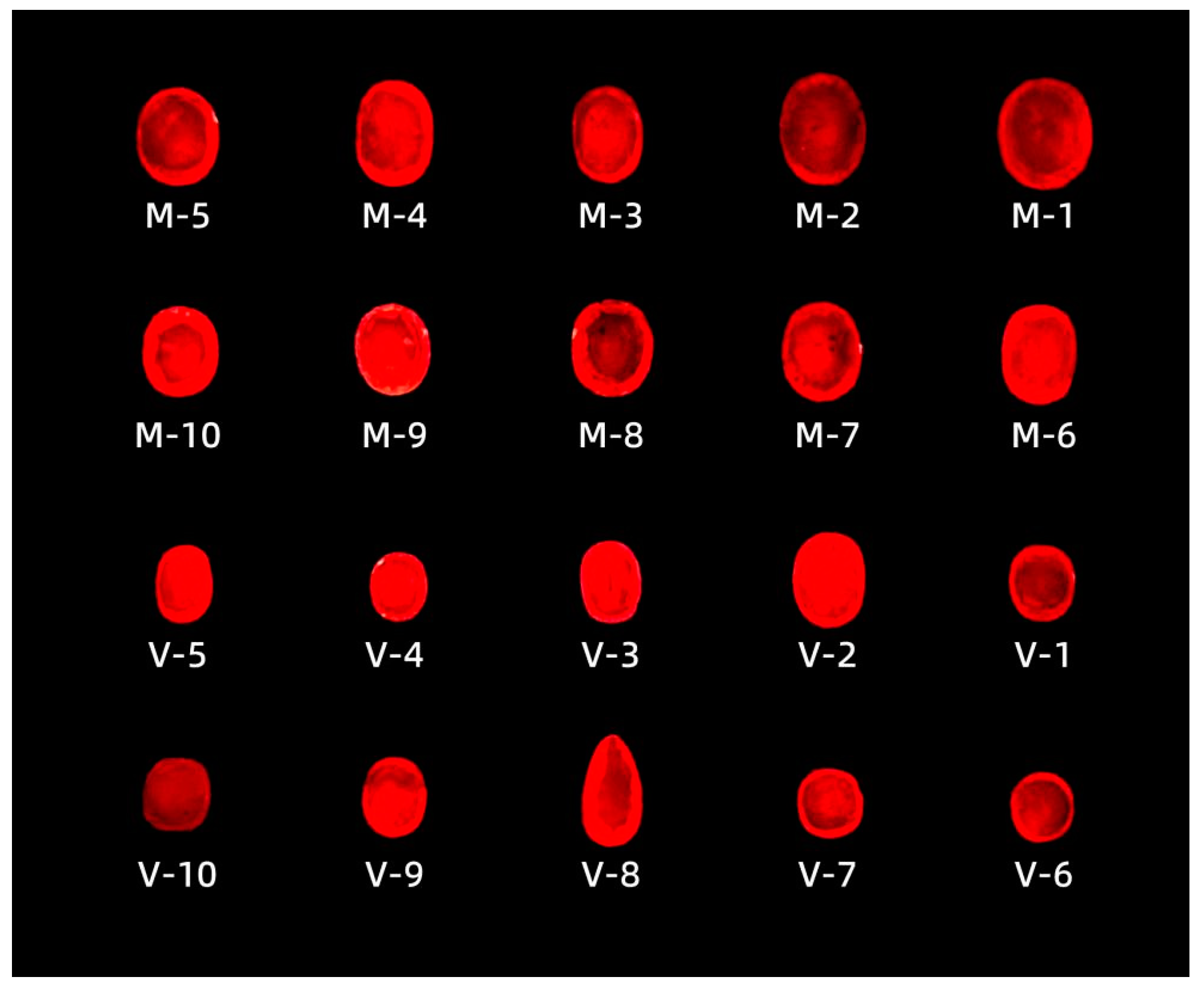 Crystals 15 00229 g005