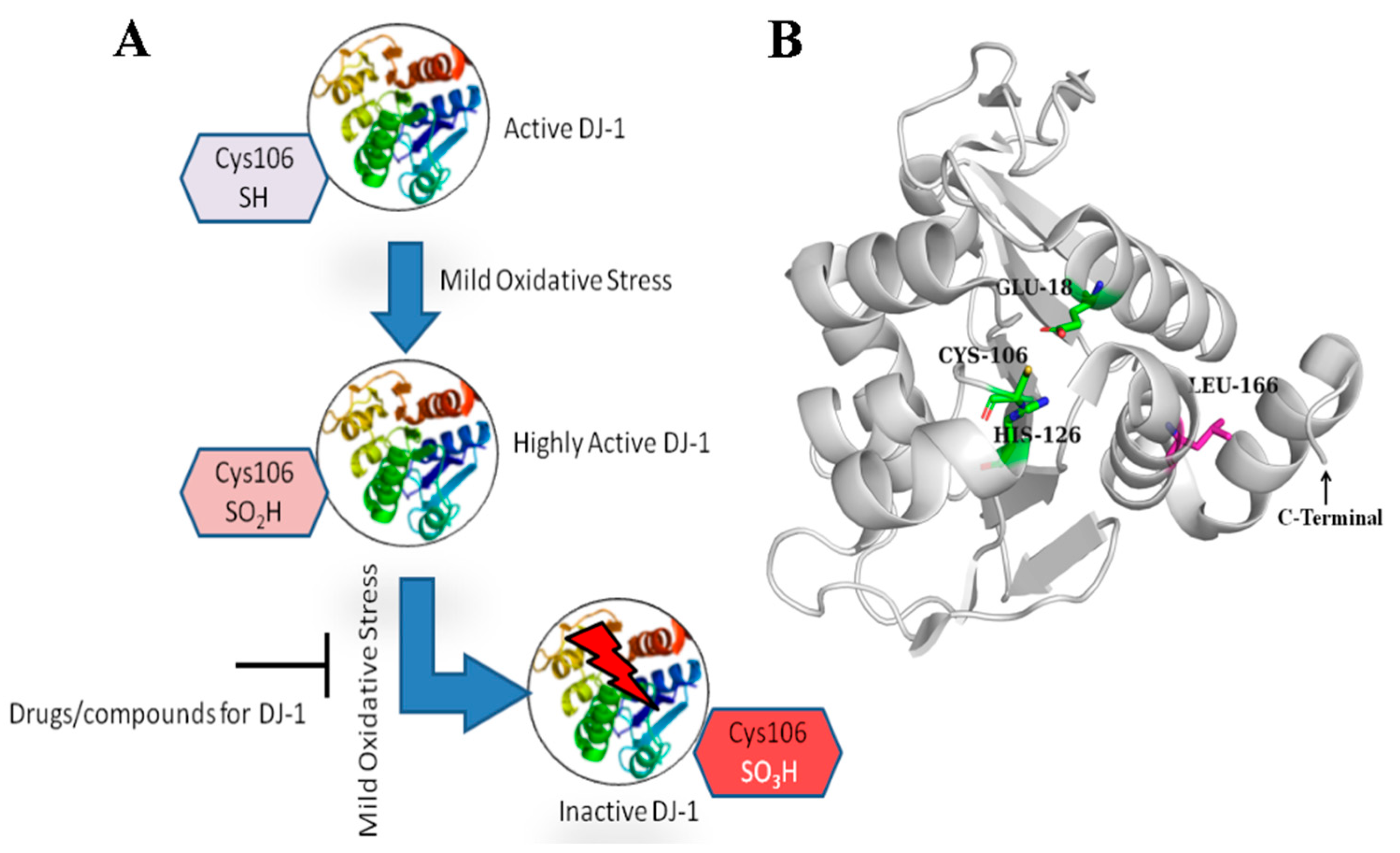 Crystals 15 00239 g001