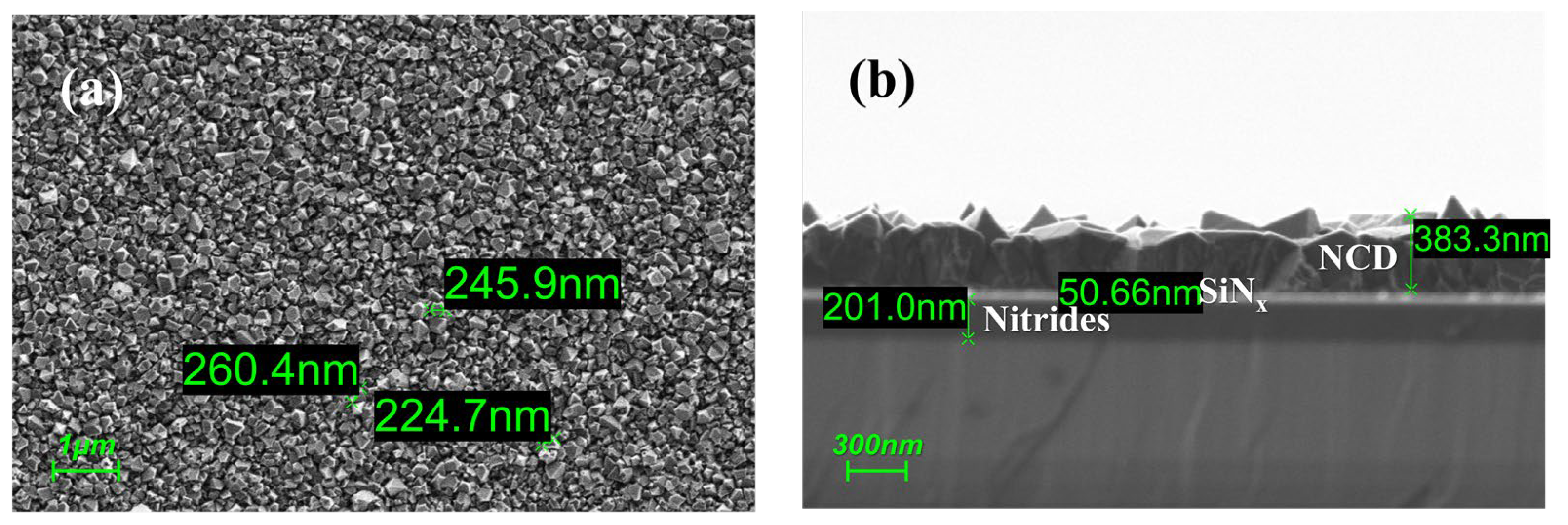 Crystals 15 00242 g003