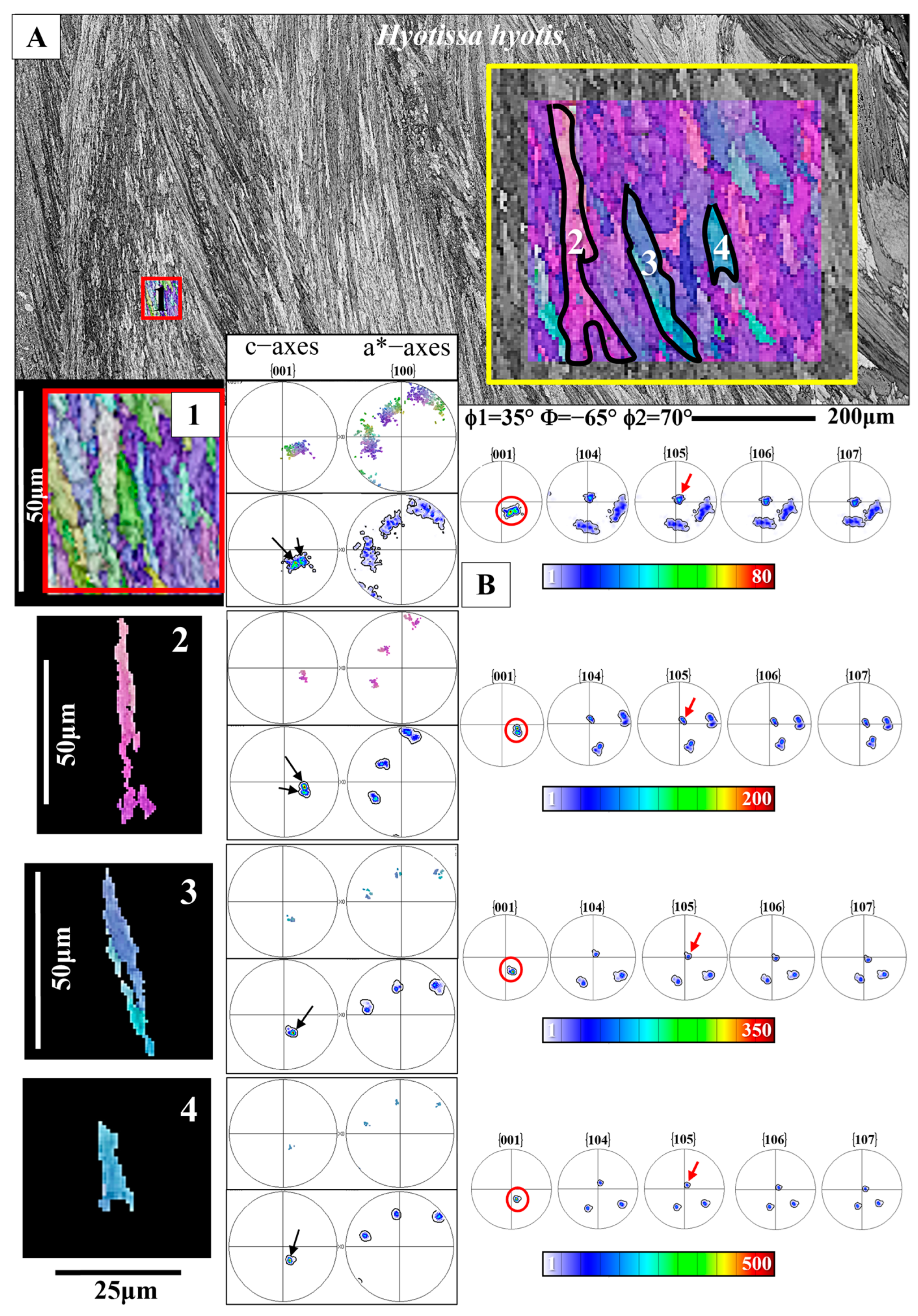 Crystals 15 00244 g008