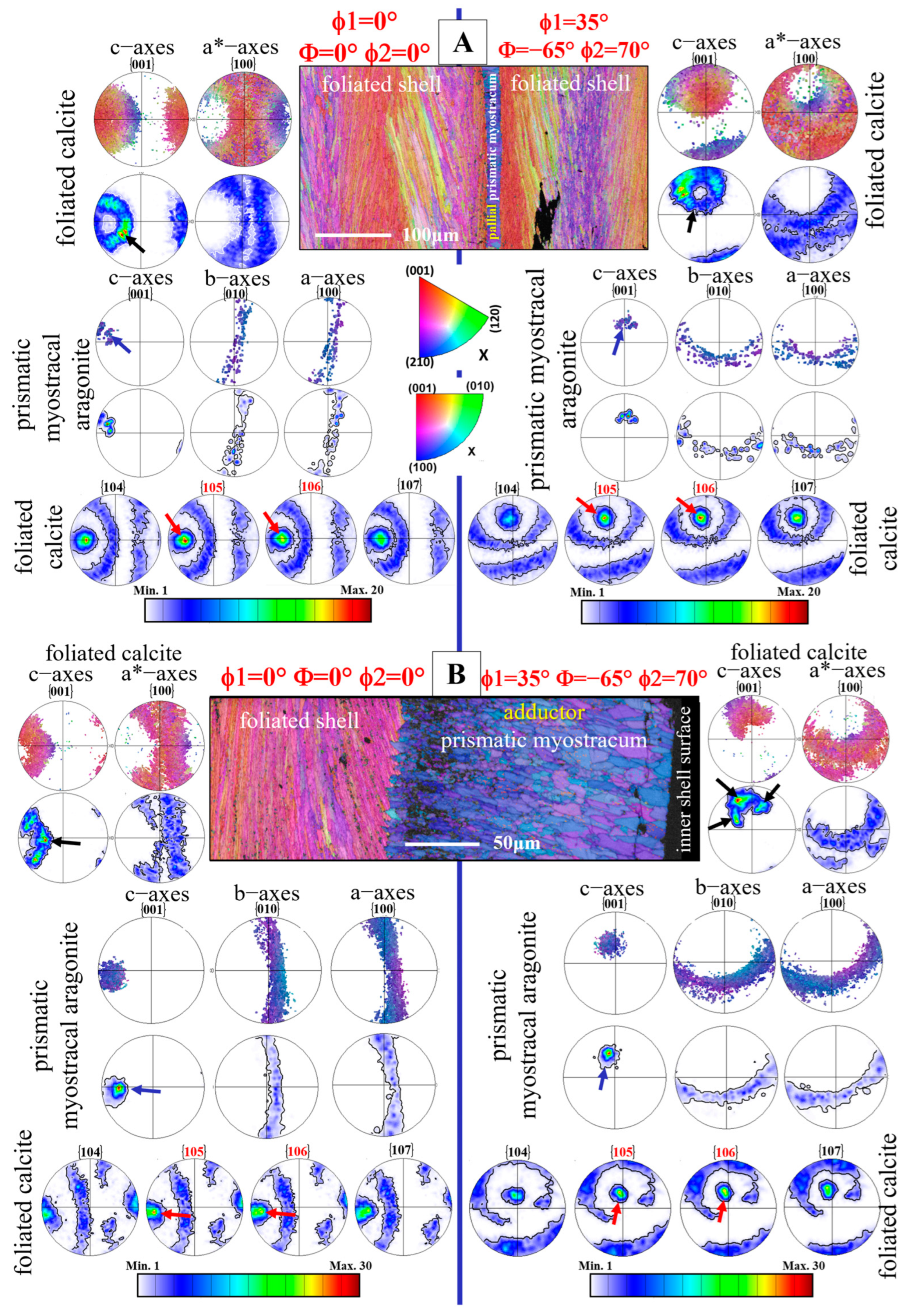 Crystals 15 00244 g012