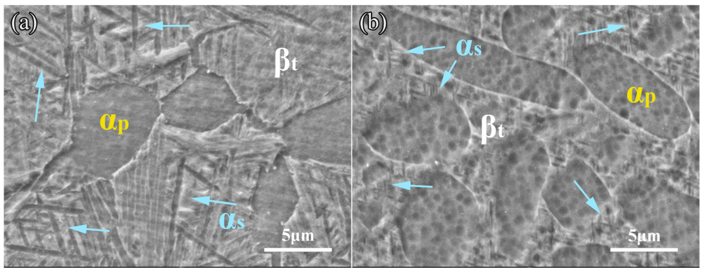 Crystals 15 00250 g004