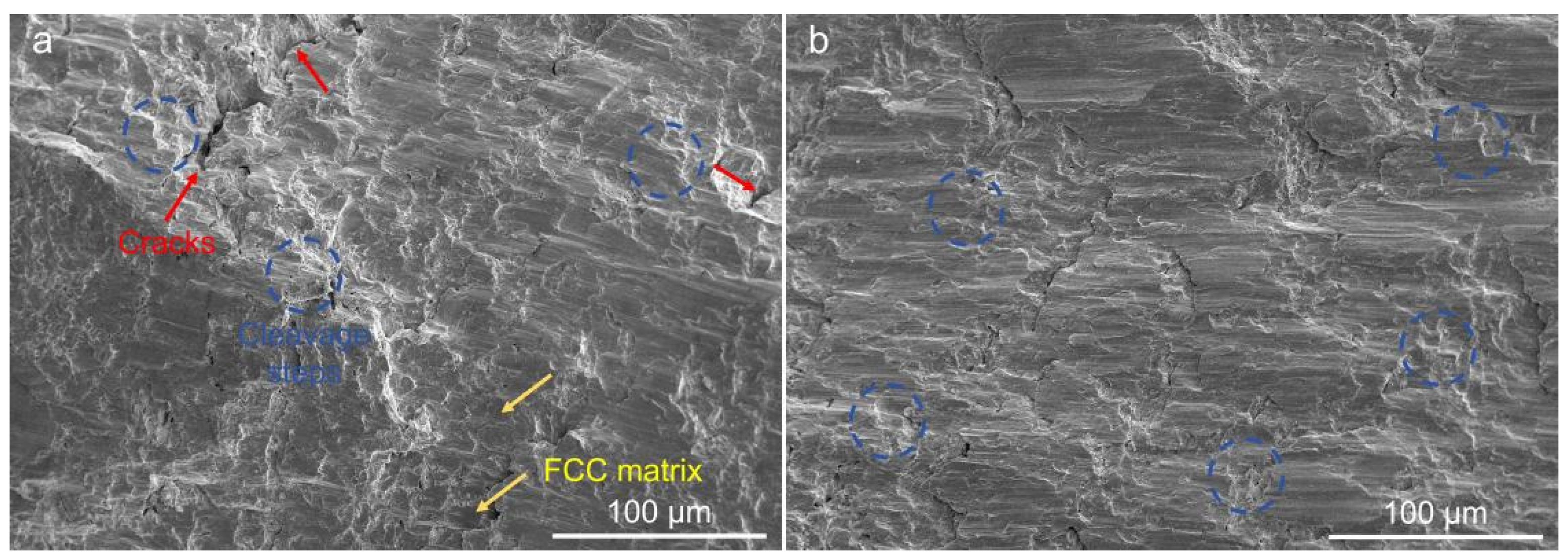 Crystals 15 00258 g006