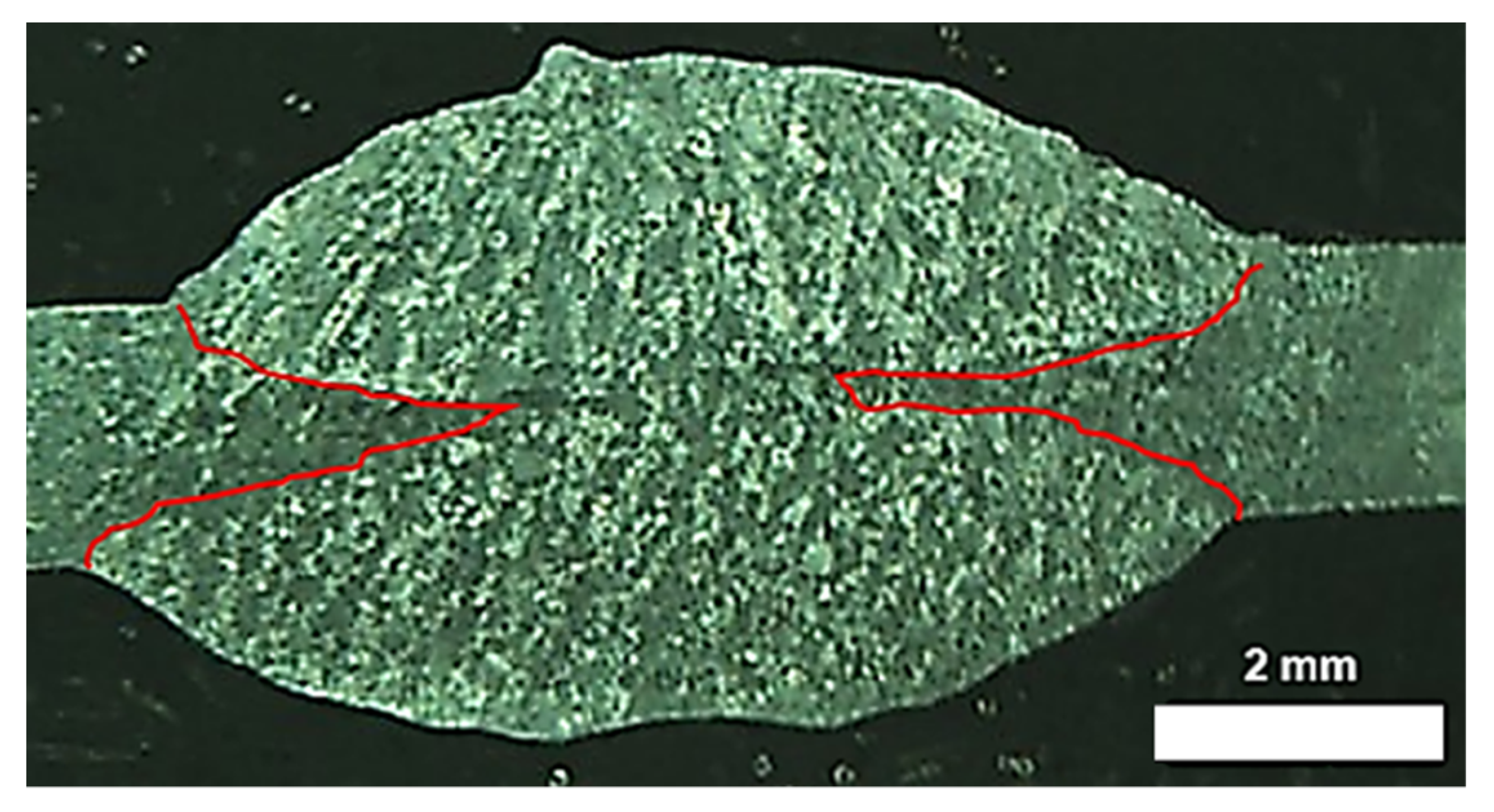 Crystals 15 00260 g008