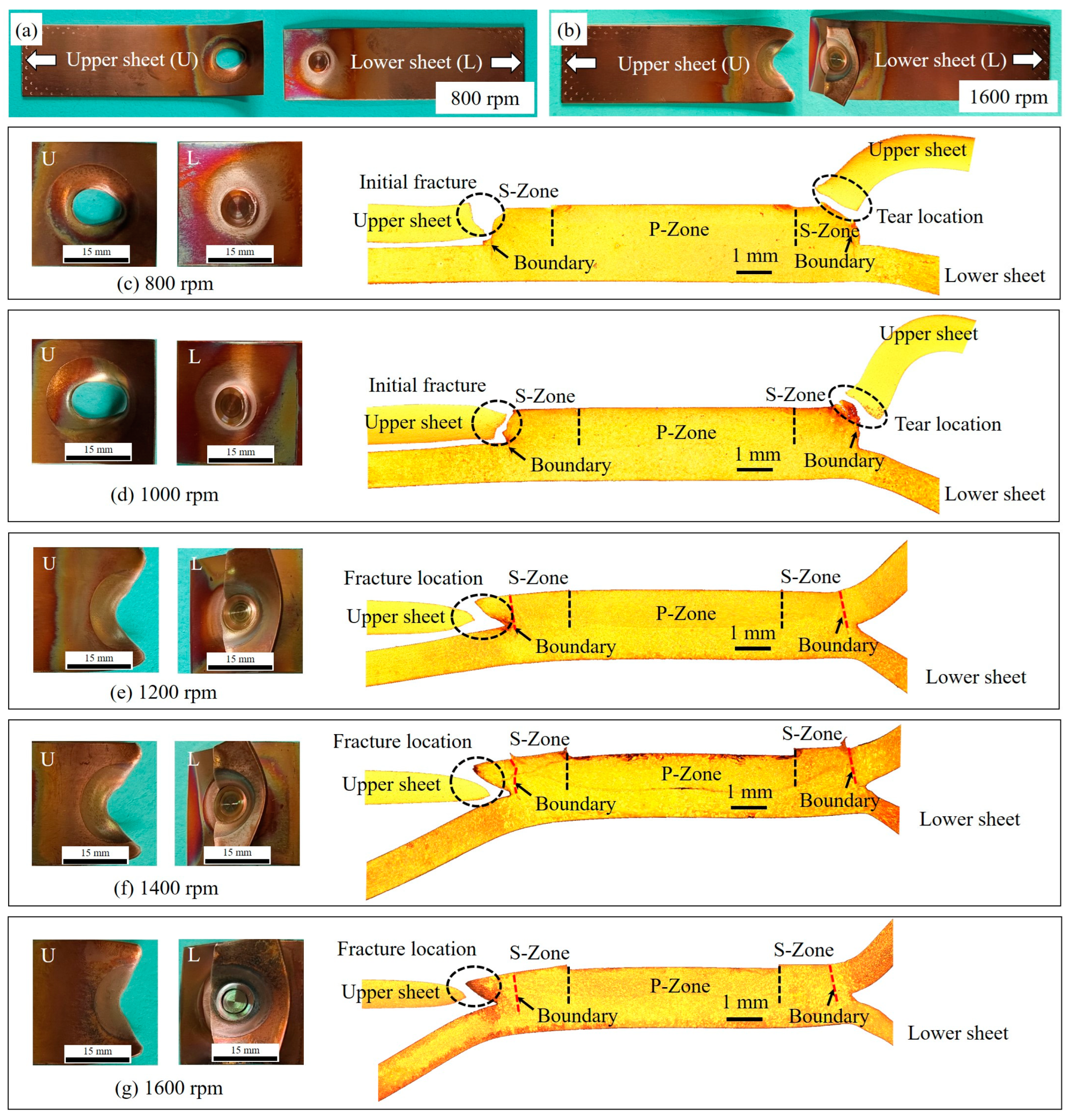 Crystals 15 00268 g011