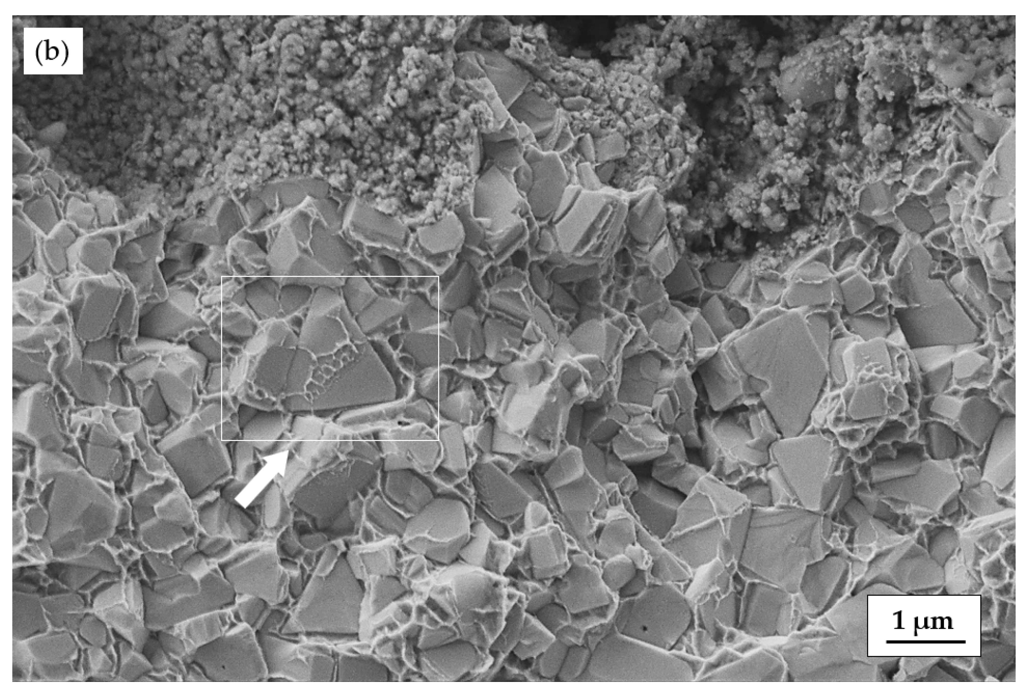 Crystals 15 00279 g007b