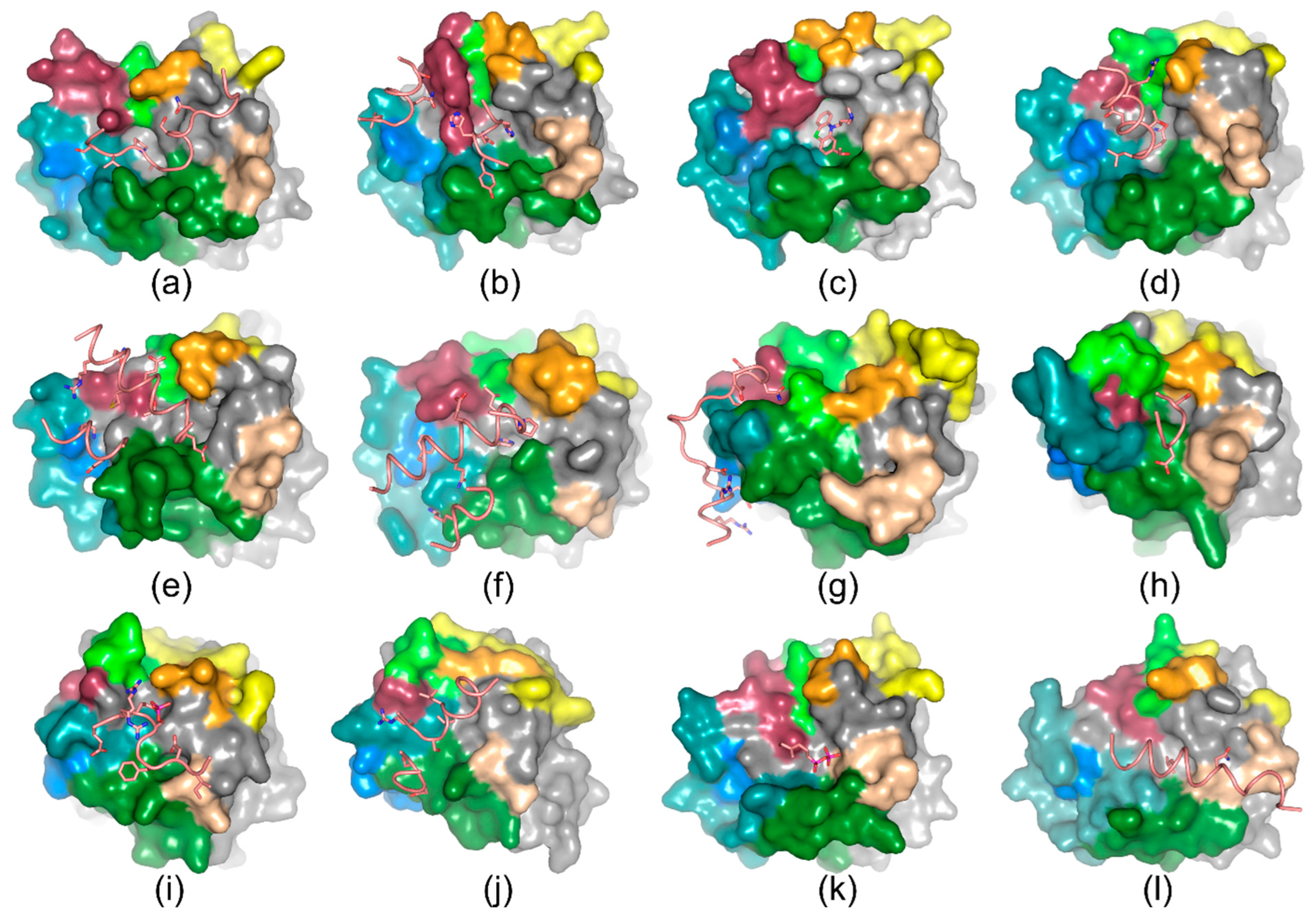 Crystals 15 00281 g003