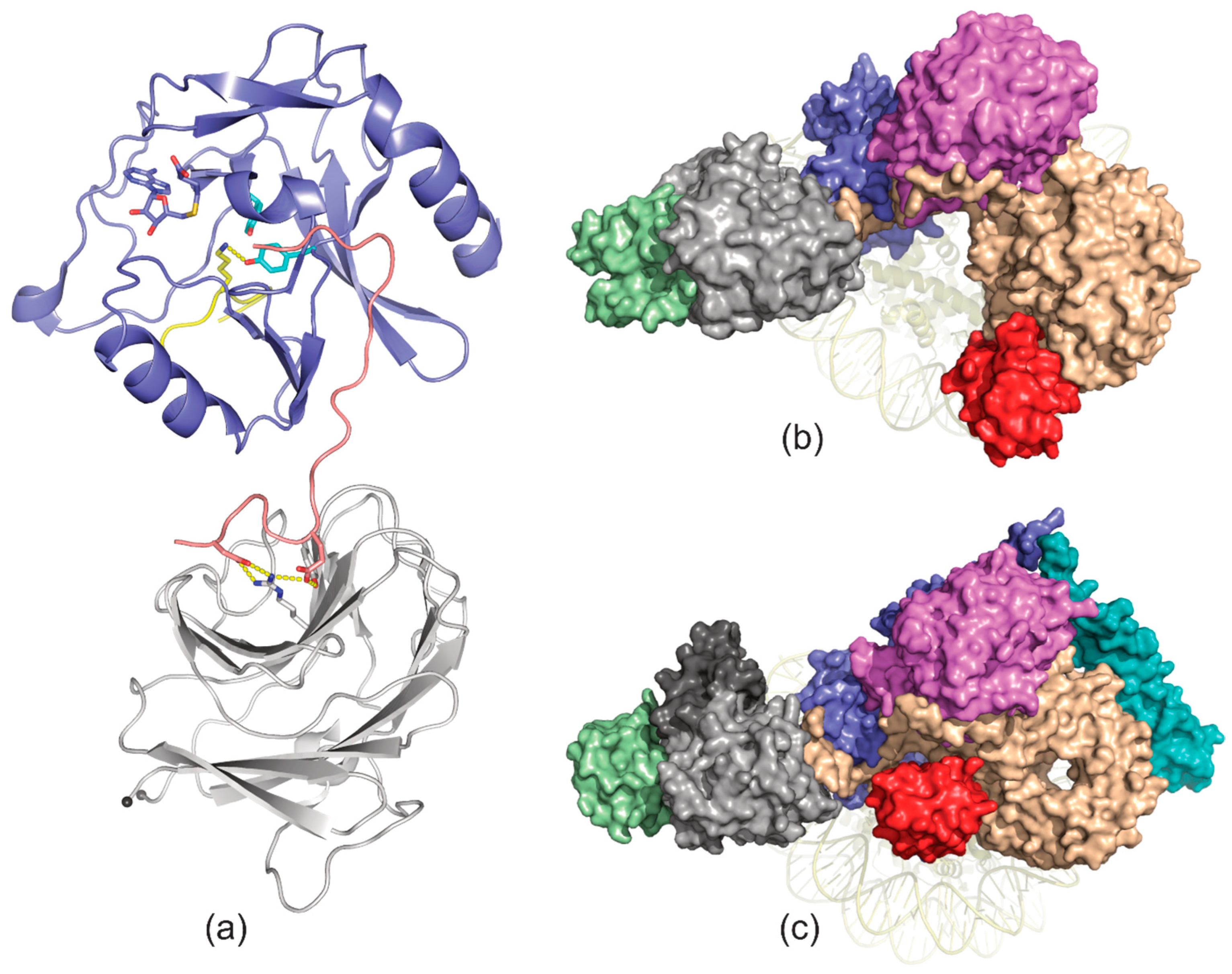 Crystals 15 00281 g006
