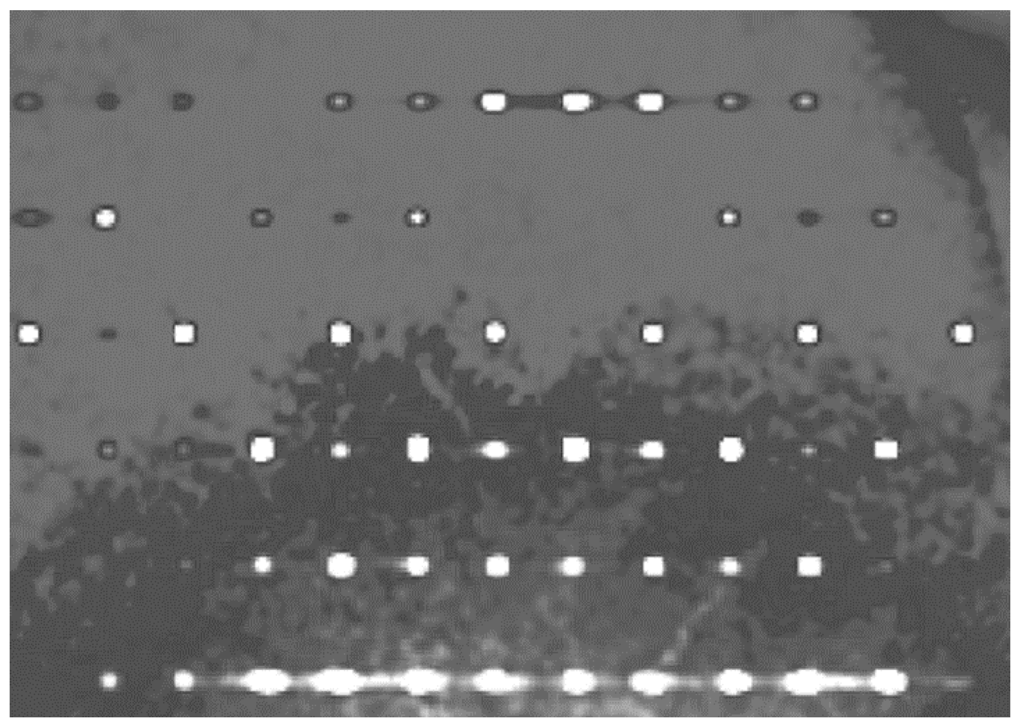 Crystals 15 00289 g007