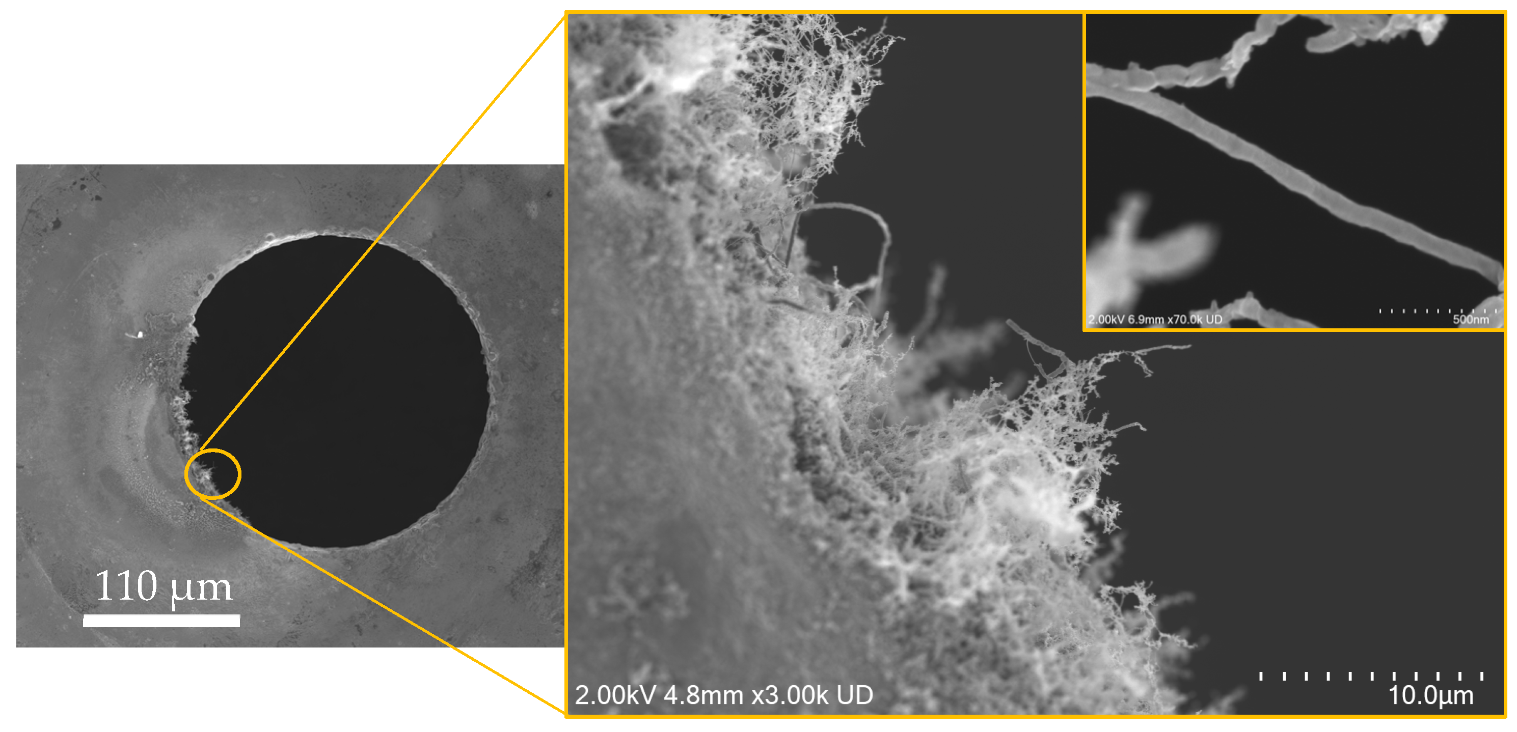 Crystals 15 00292 g005