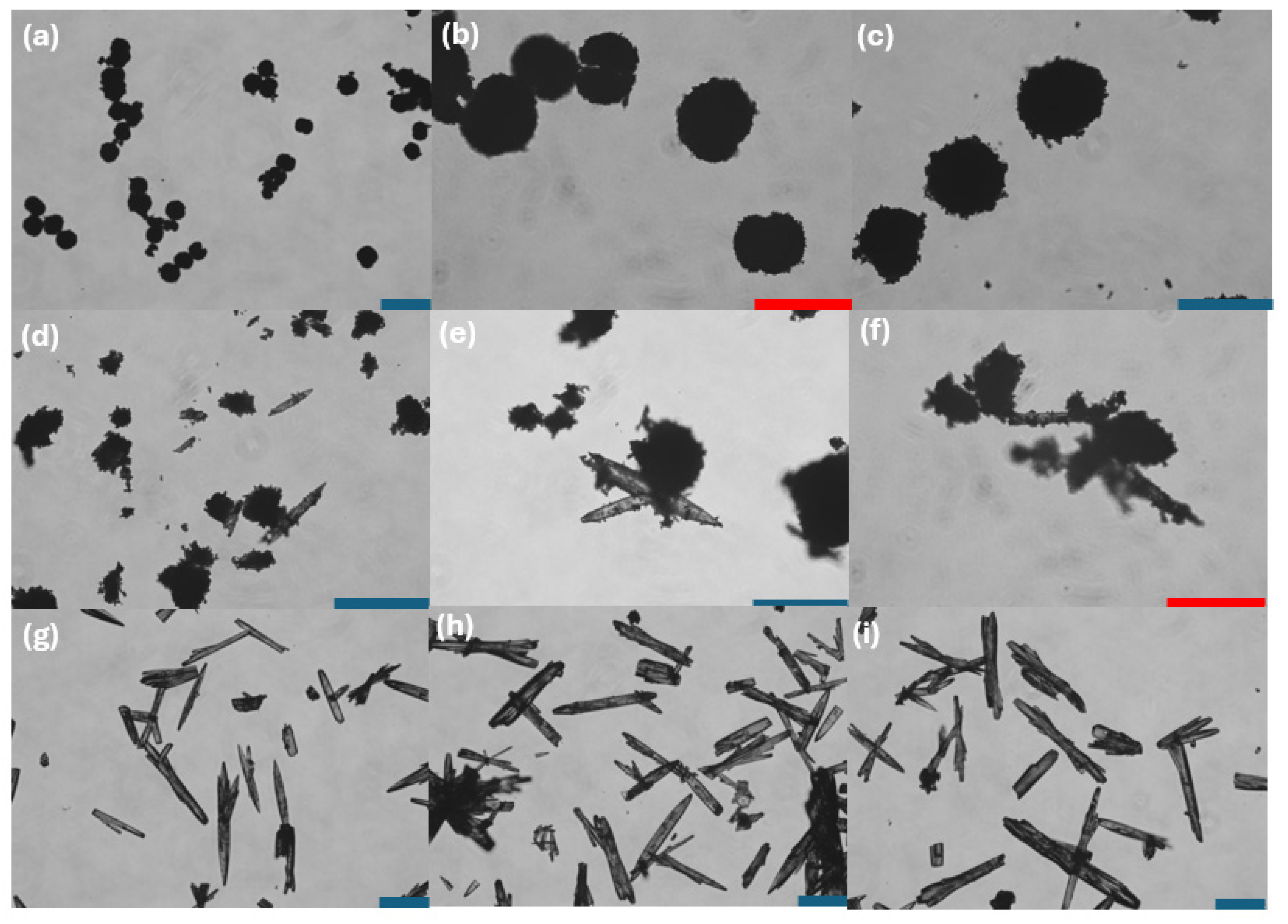 Crystals 15 00296 g001