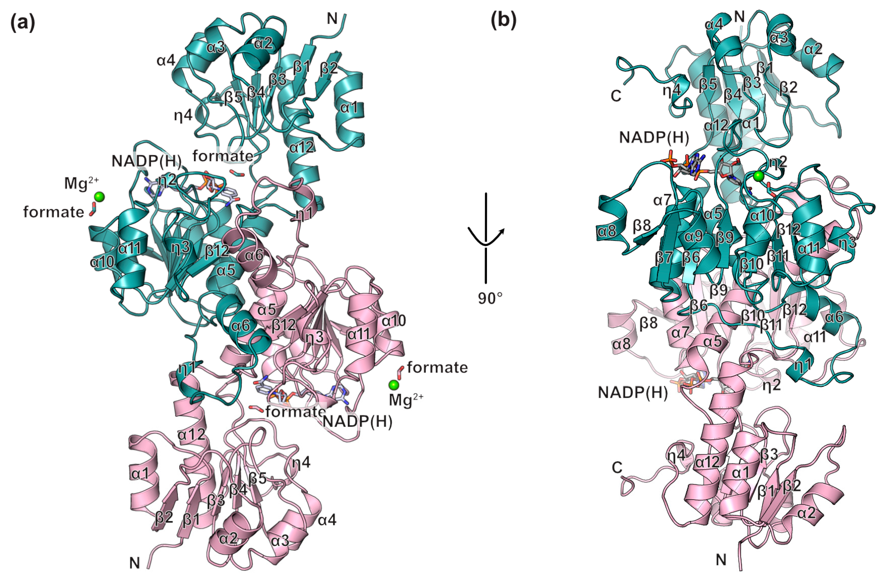 Crystals 15 00298 g005