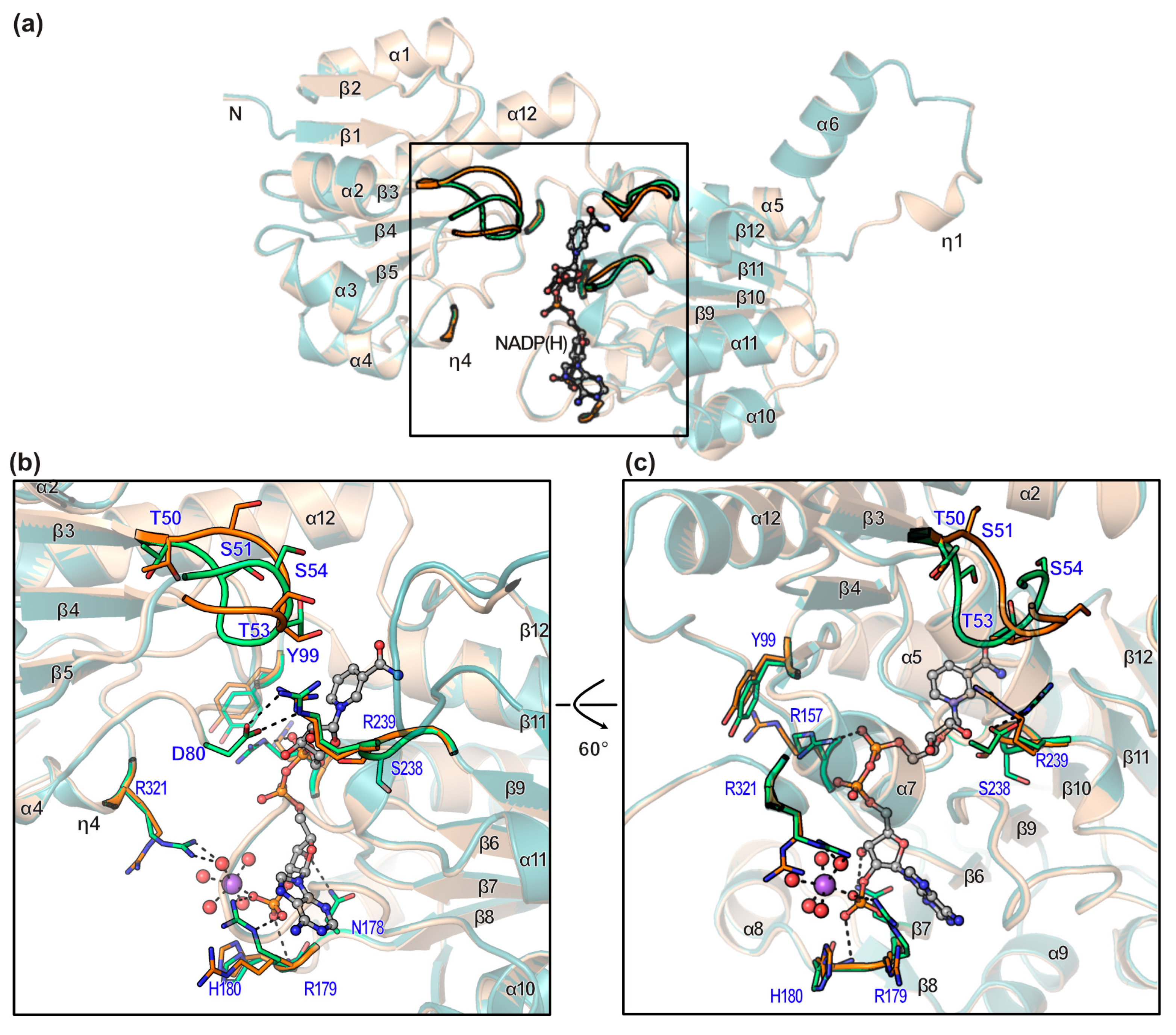 Crystals 15 00298 g008