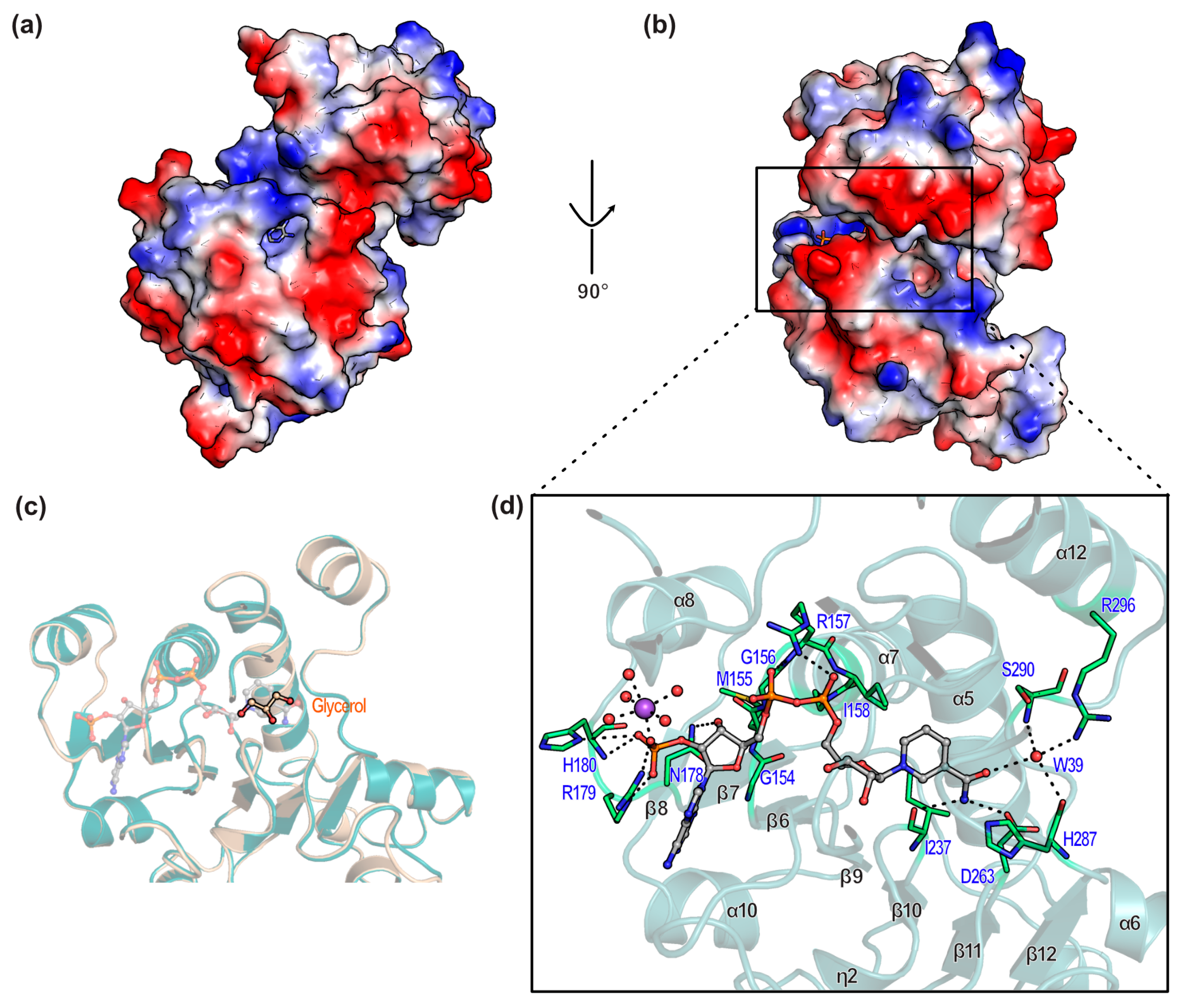 Crystals 15 00298 g009