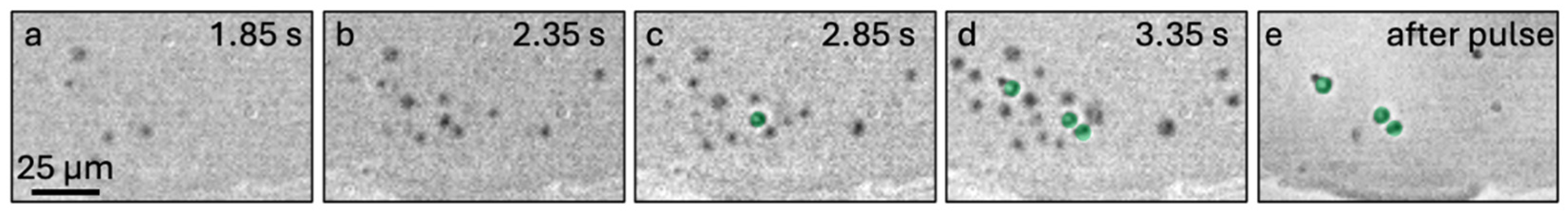 Crystals 15 00315 g003