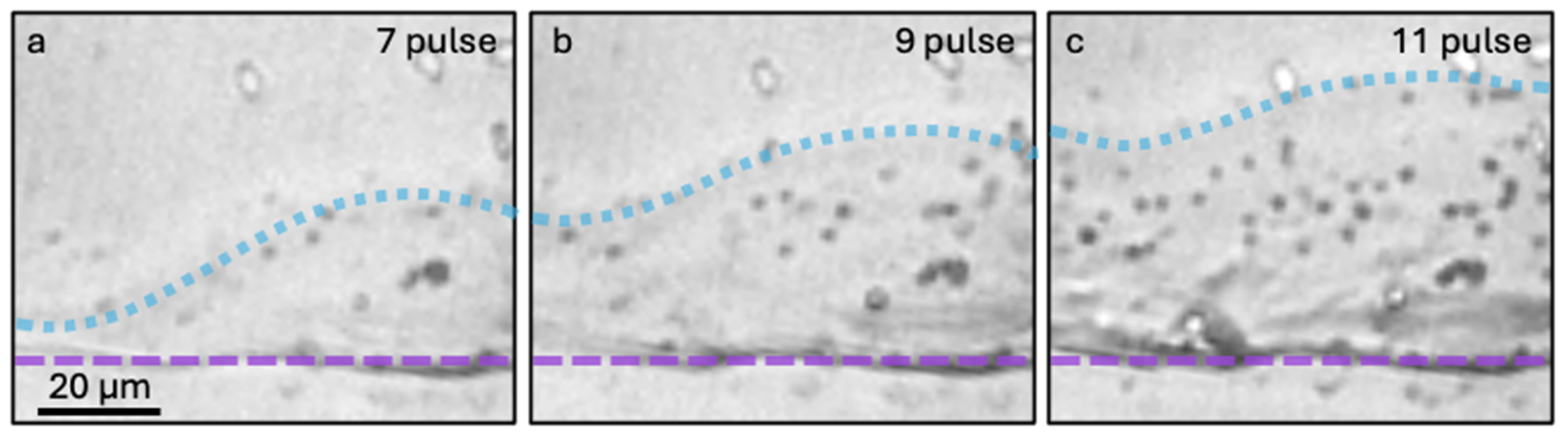 Crystals 15 00315 g004